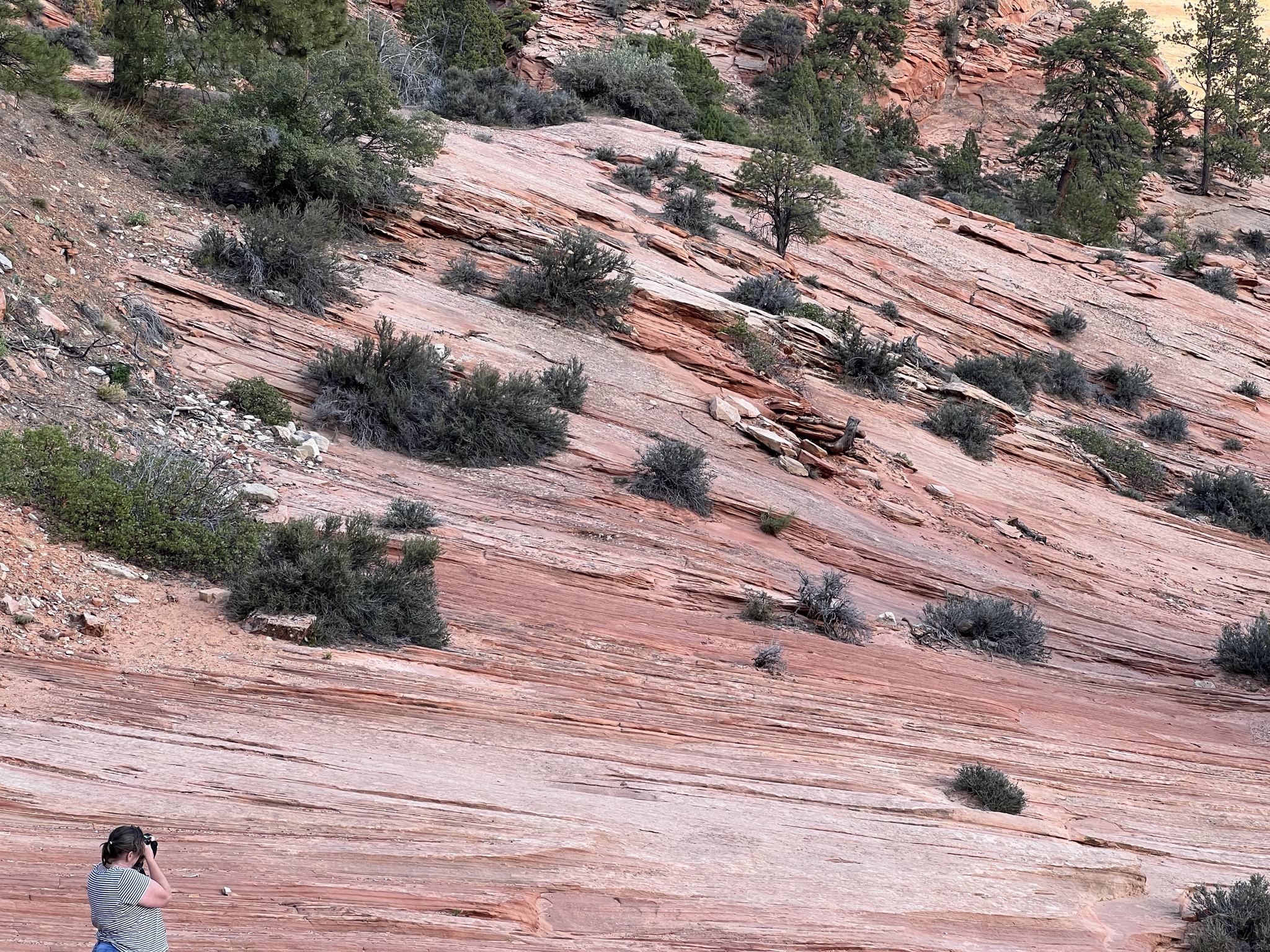 Zion National Park