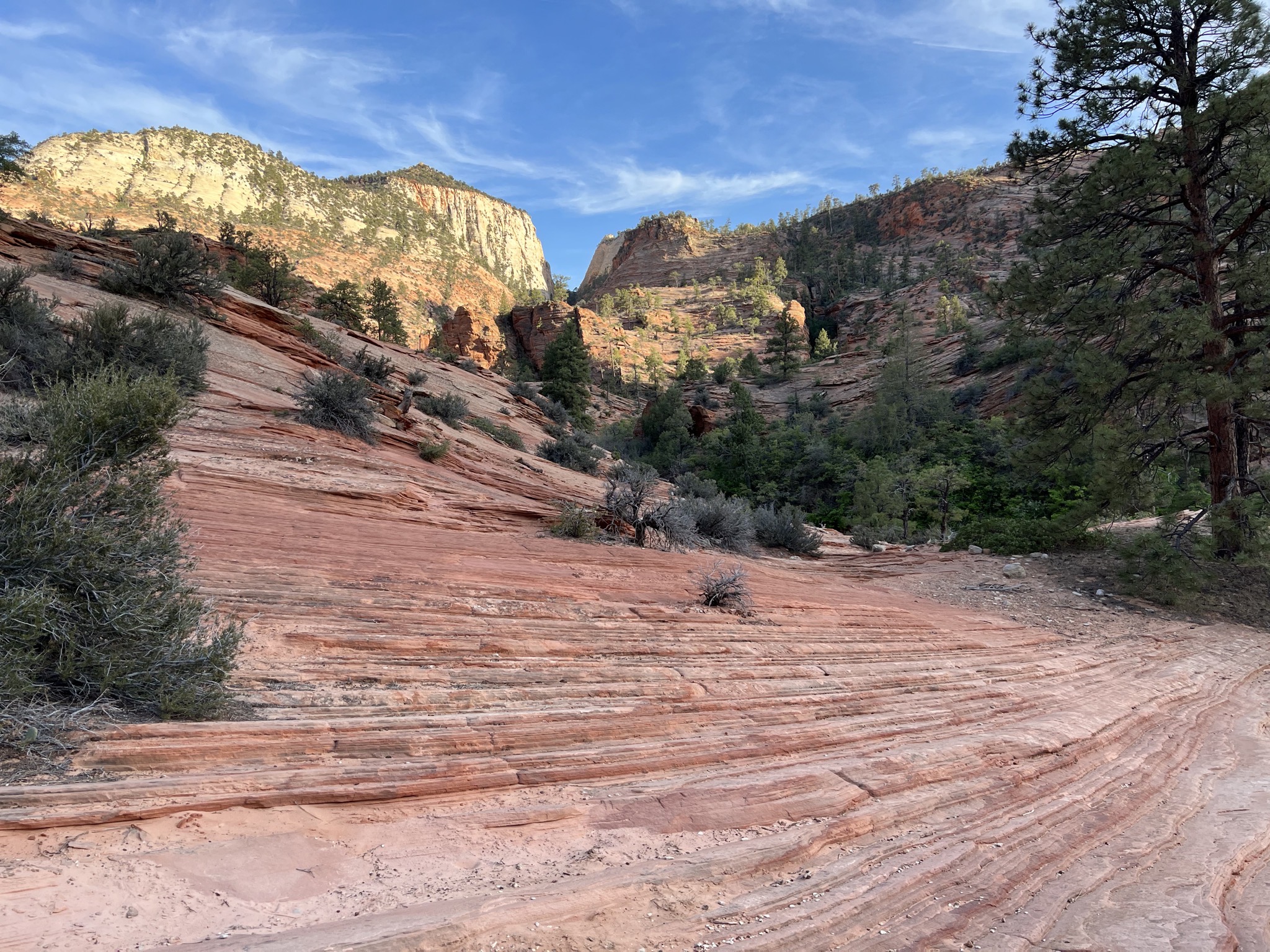Zion National Park
