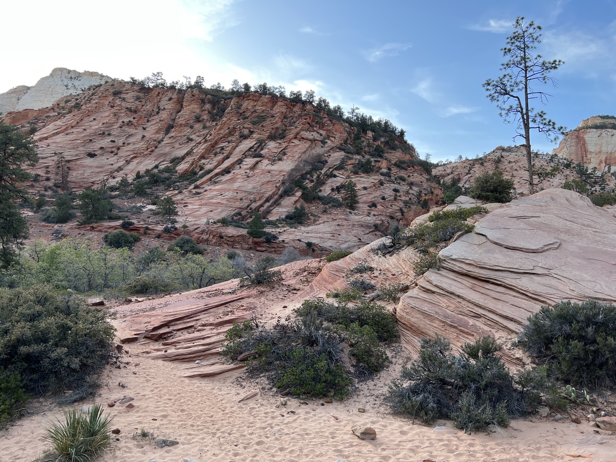 Zion National Park