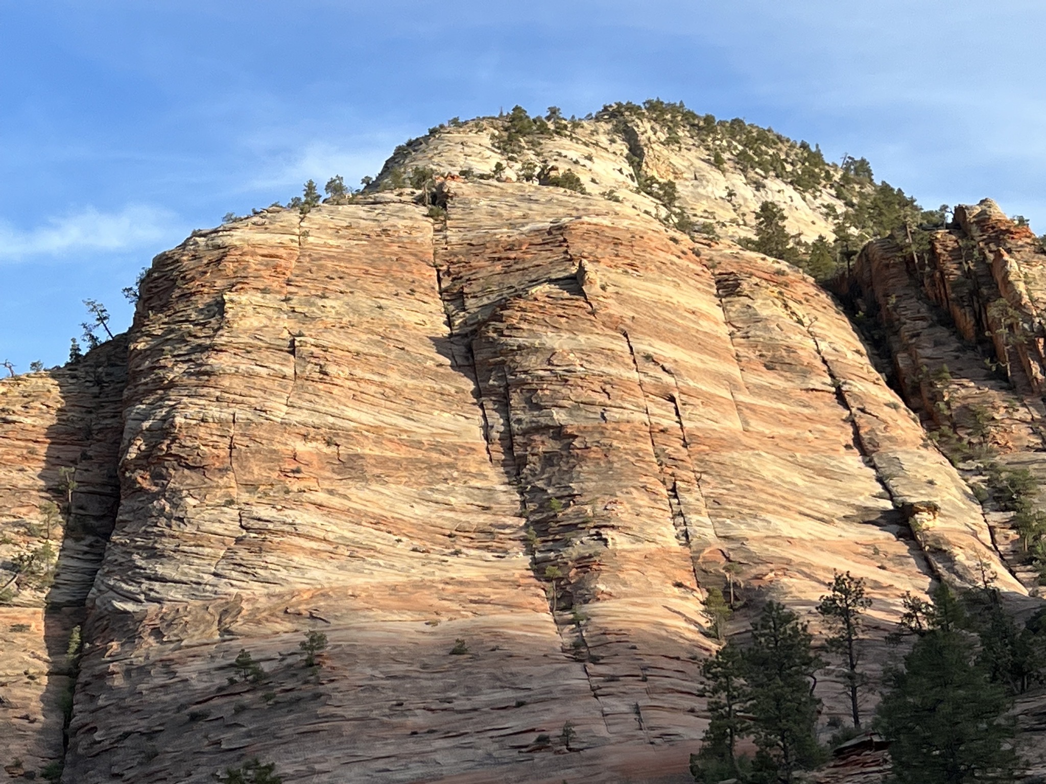 Zion National Park