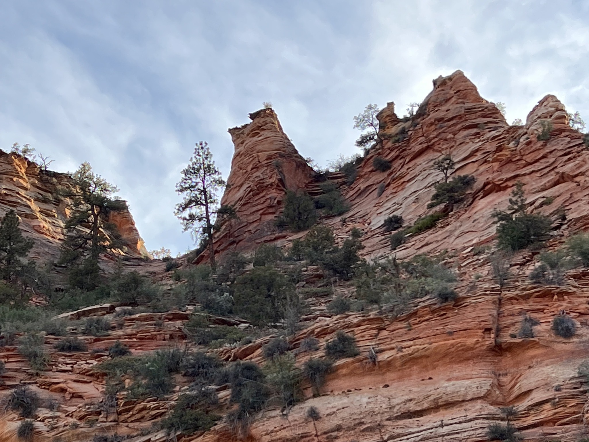 Zion National Park