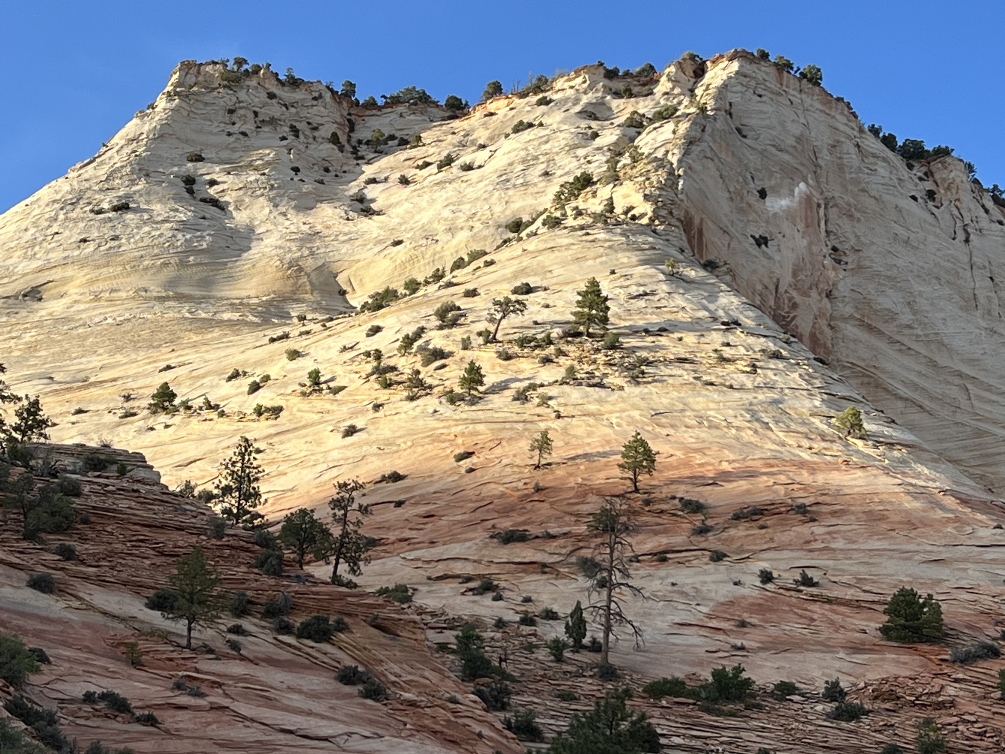 Zion National Park