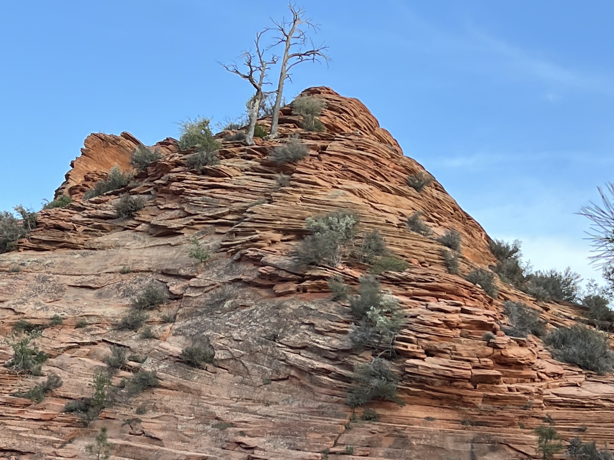 Zion National Park