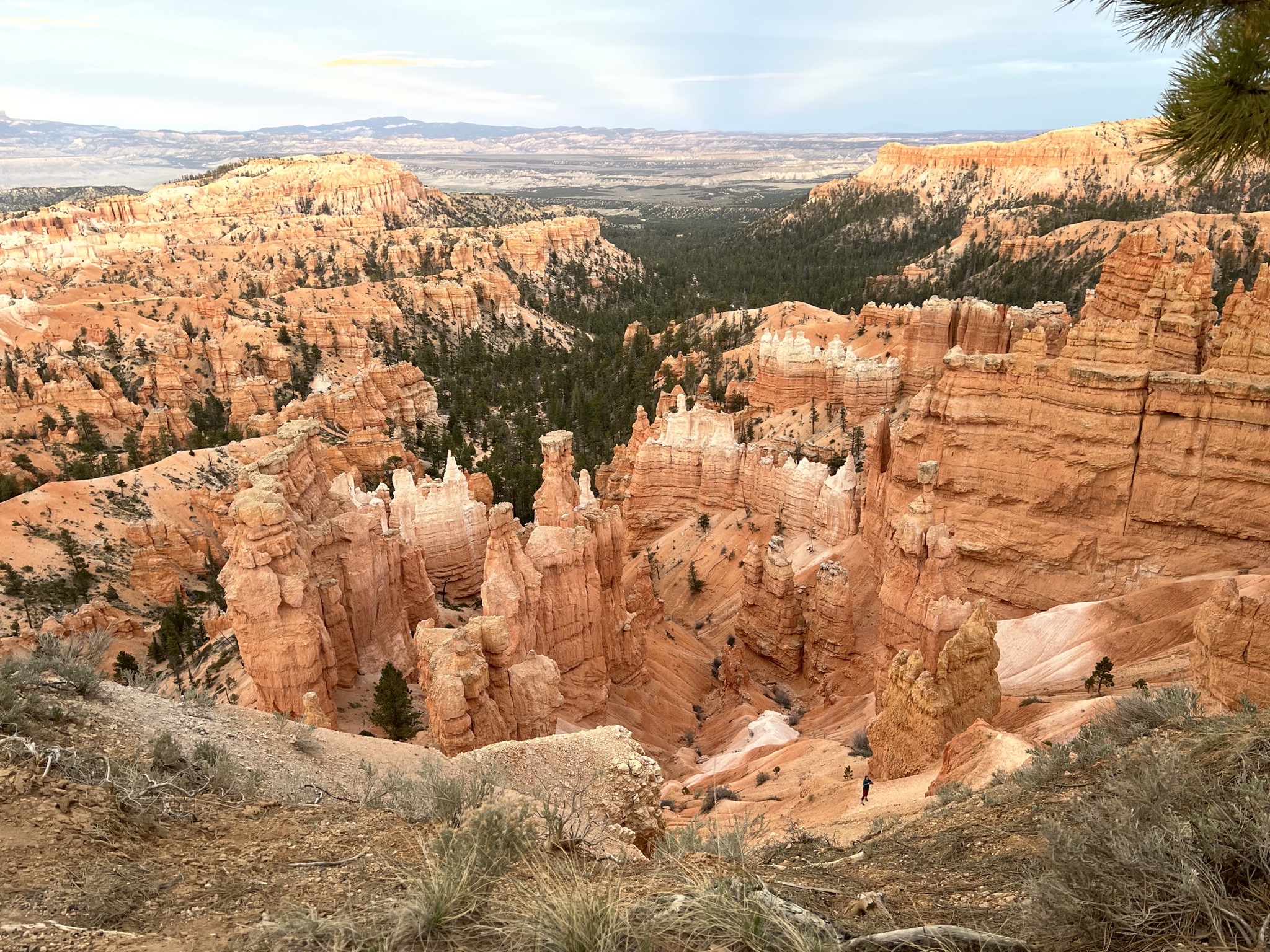 Bryce Canyon