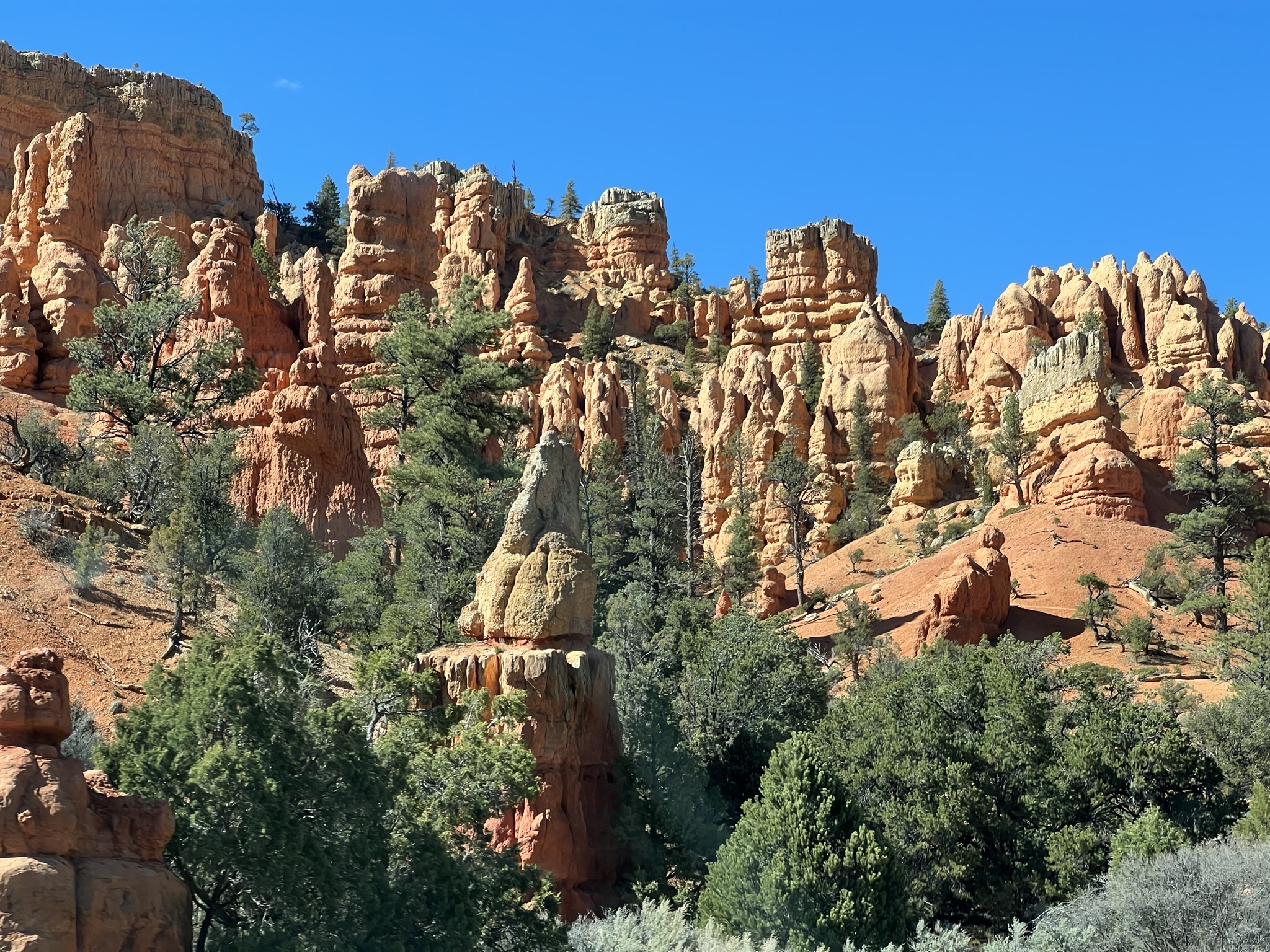 Red Canyon