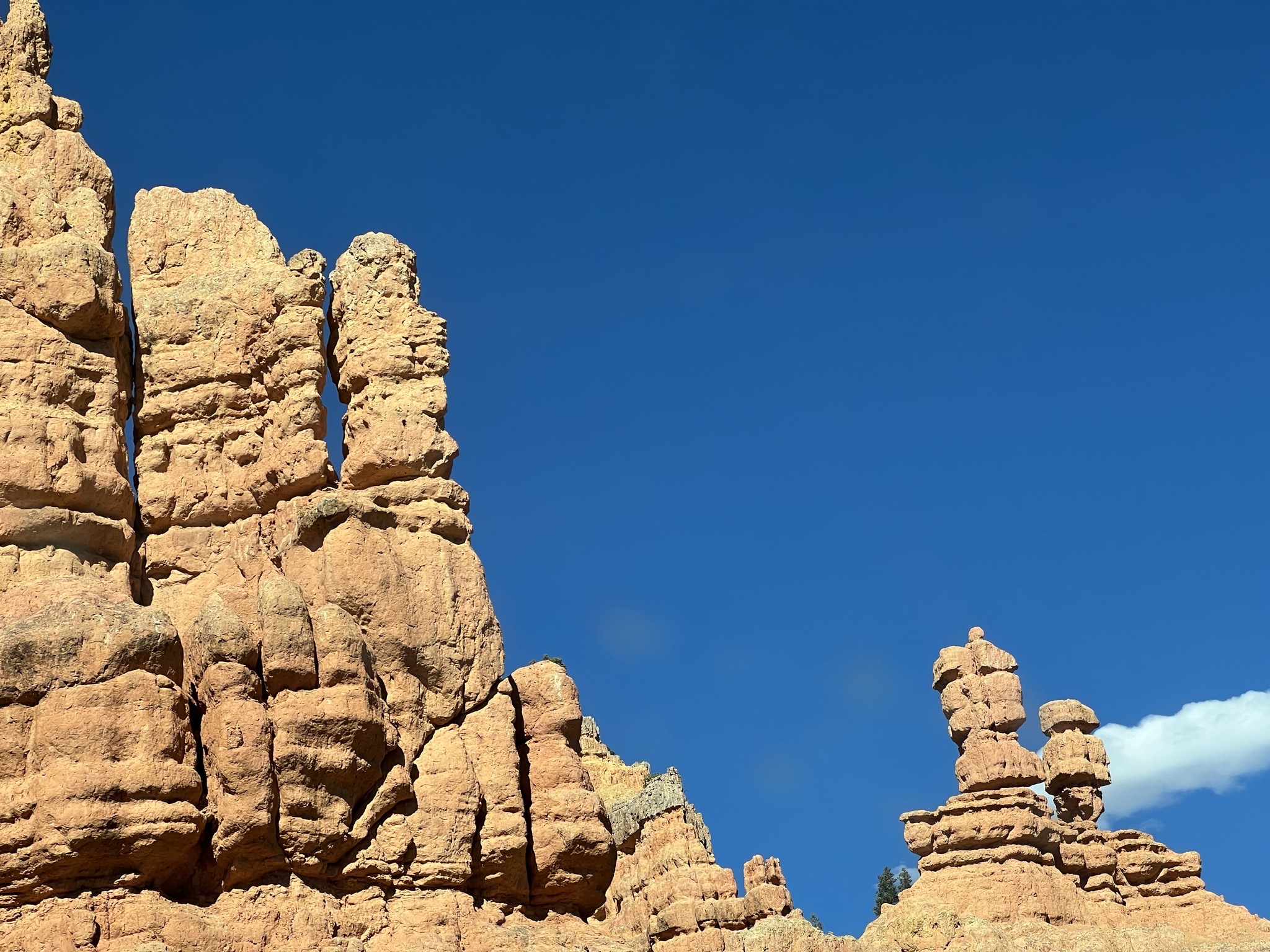 Red Canyon