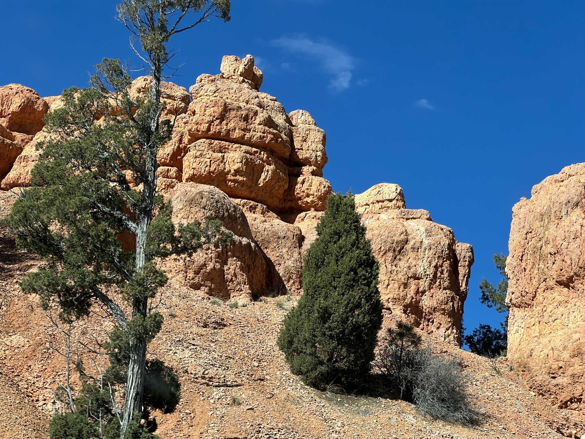 Red Canyon