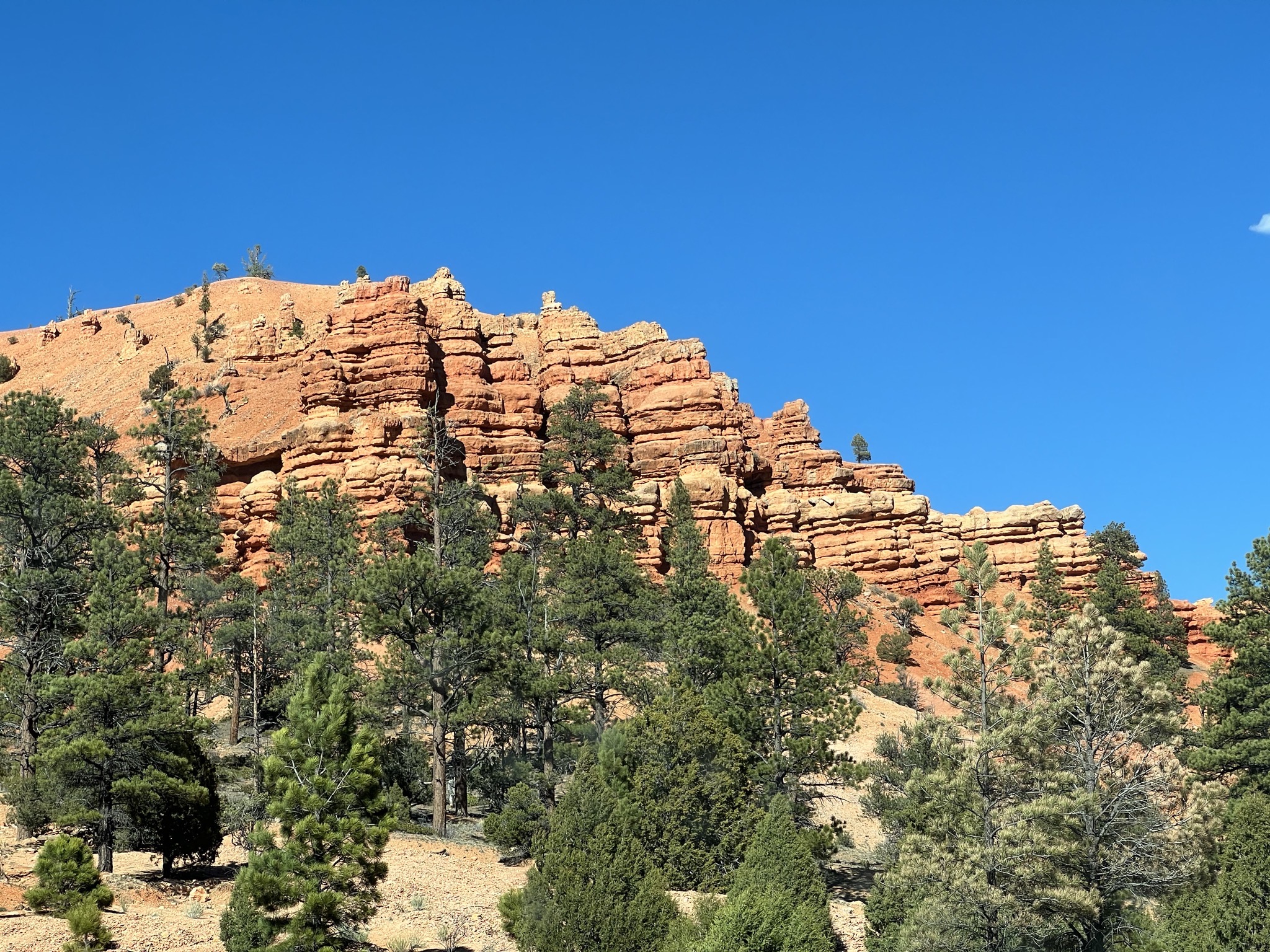 Red Canyon
