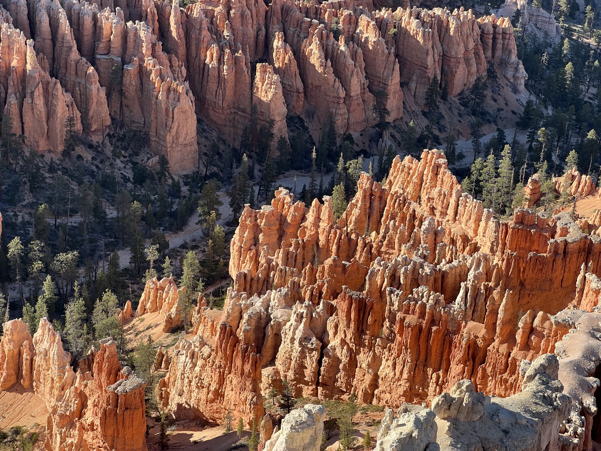 Bryce Canyon
