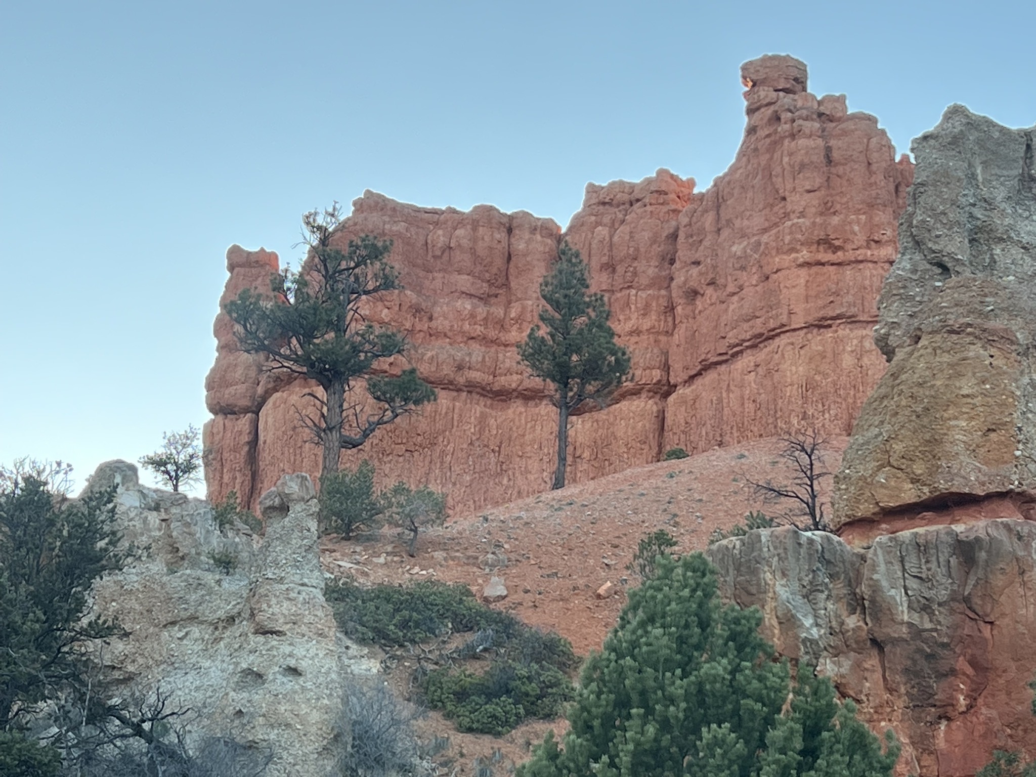 Red Canyon