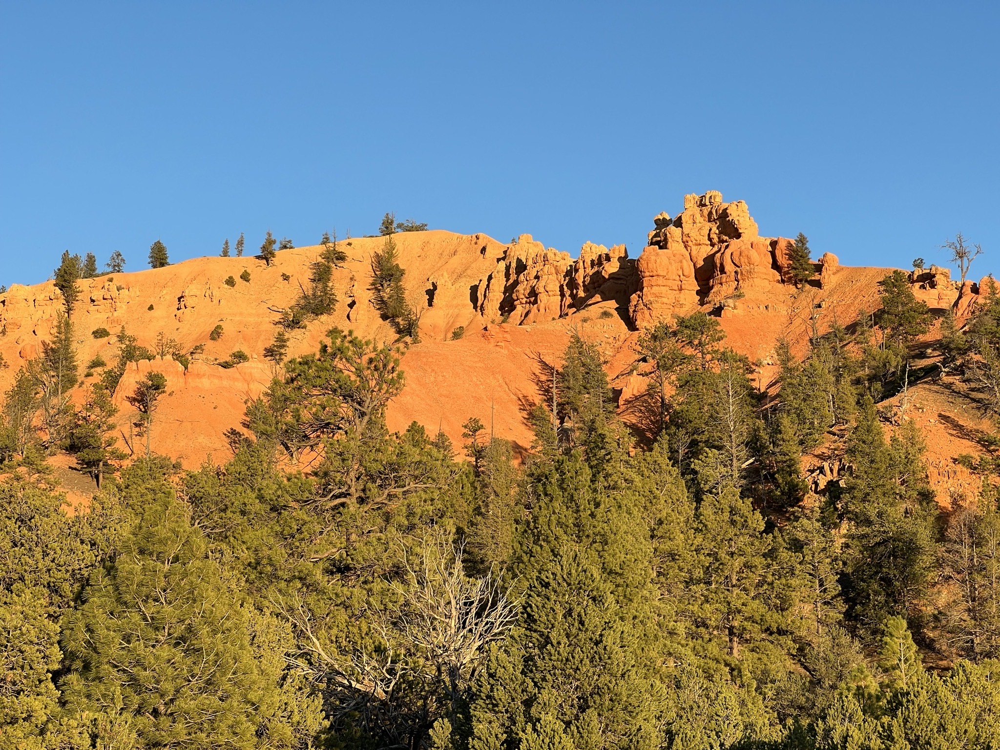 Red Canyon