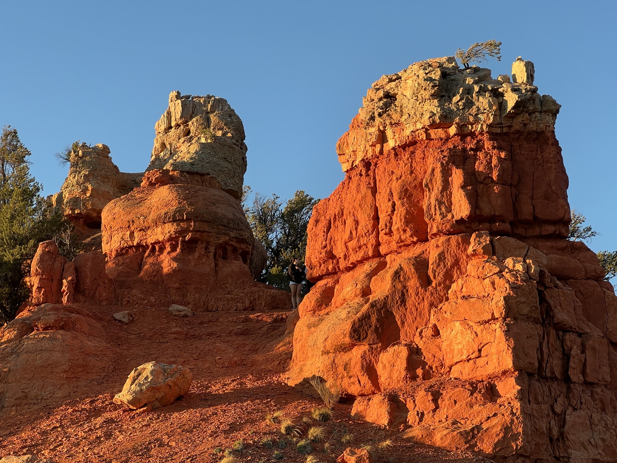 Red Canyon