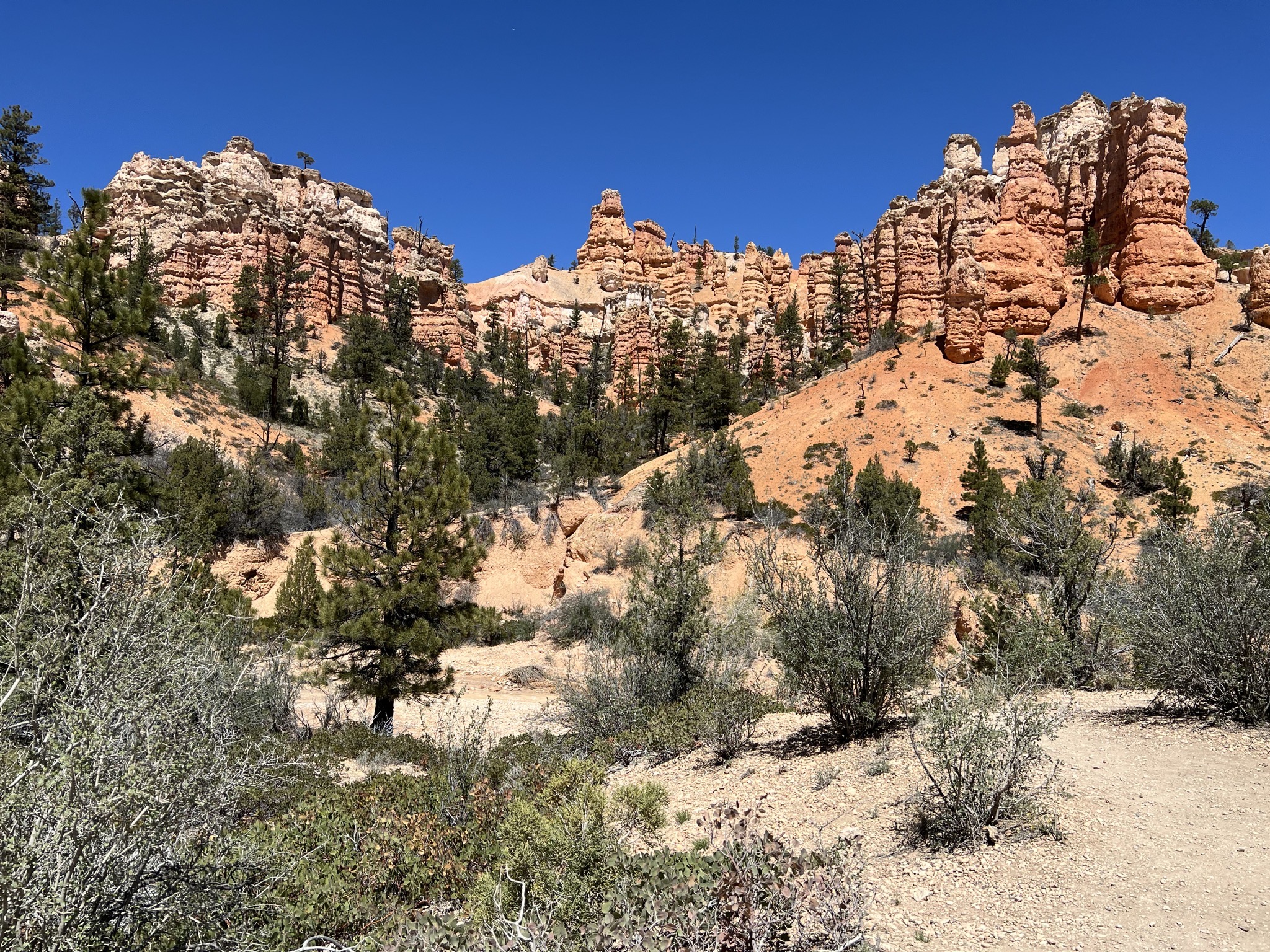 Rocks