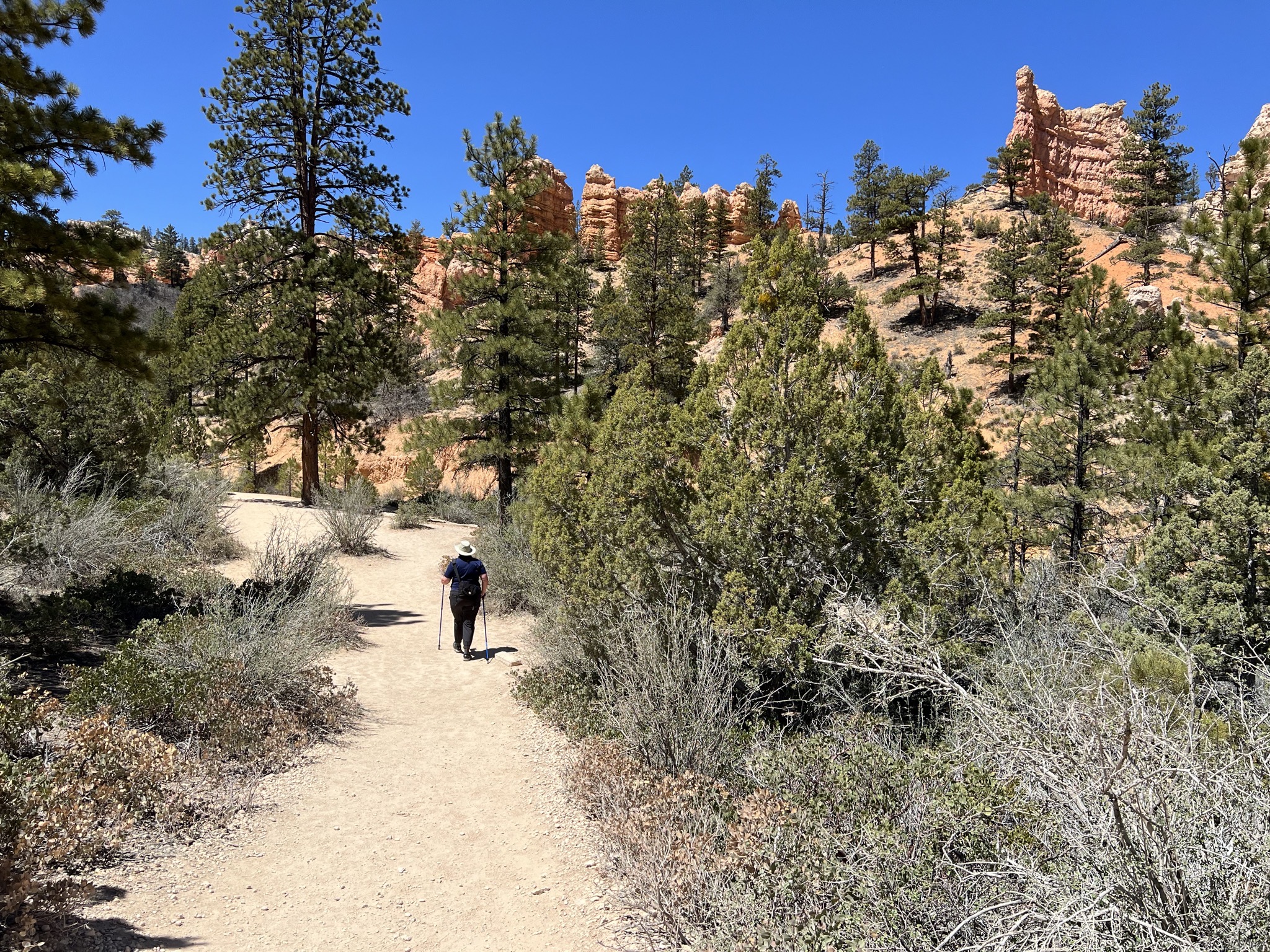 Trail