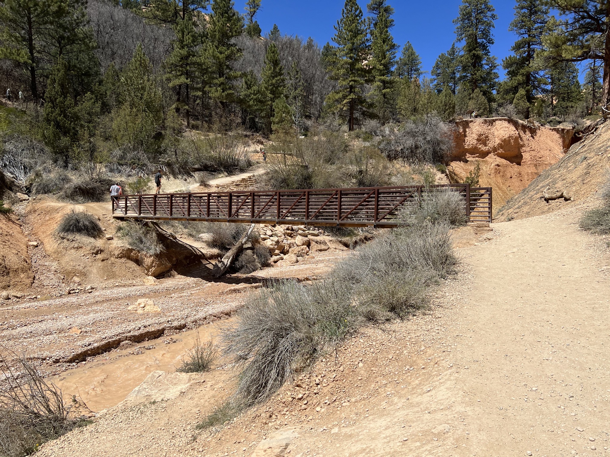 Bridge