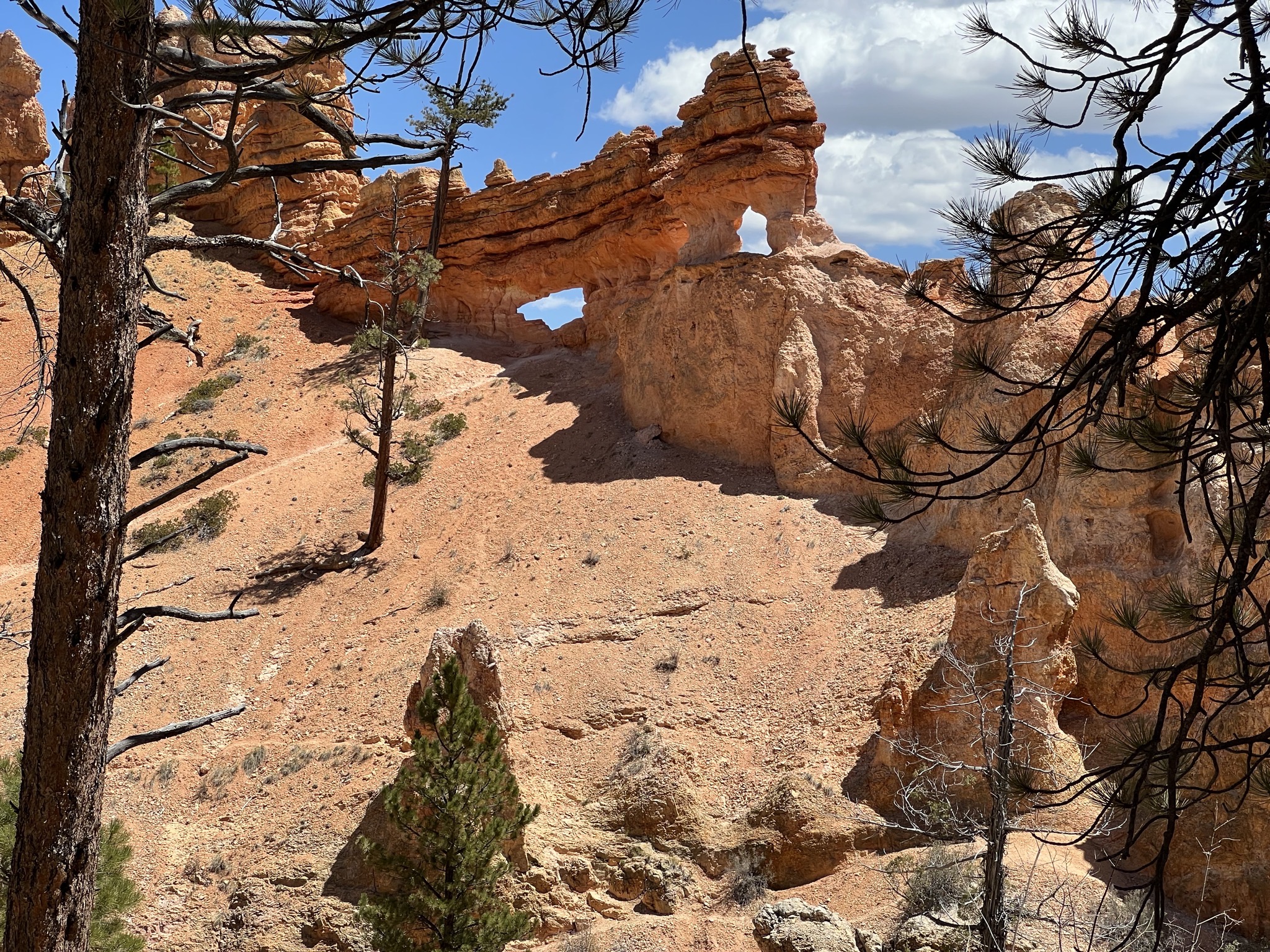 Rocks