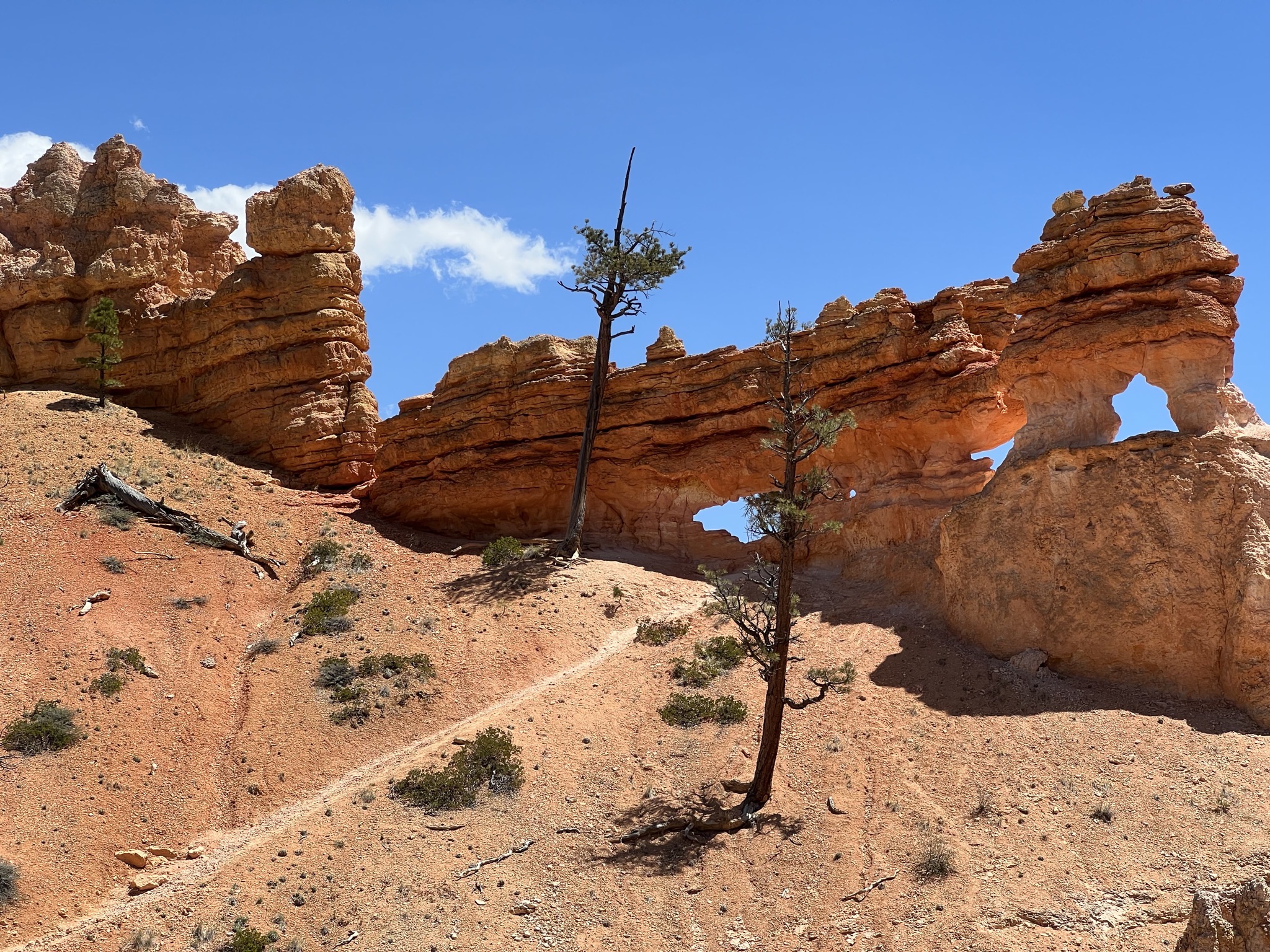 Rocks