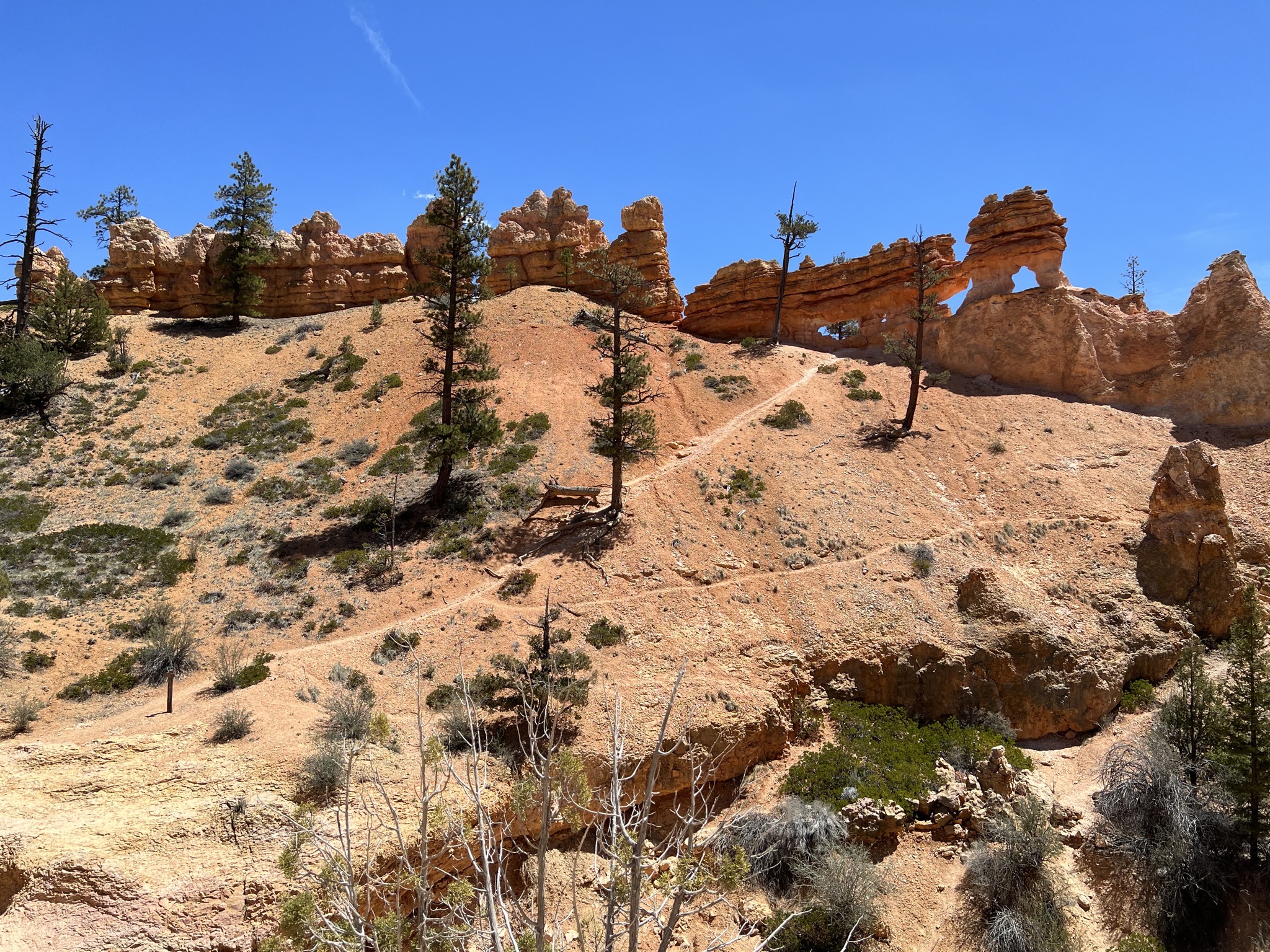 Rocks