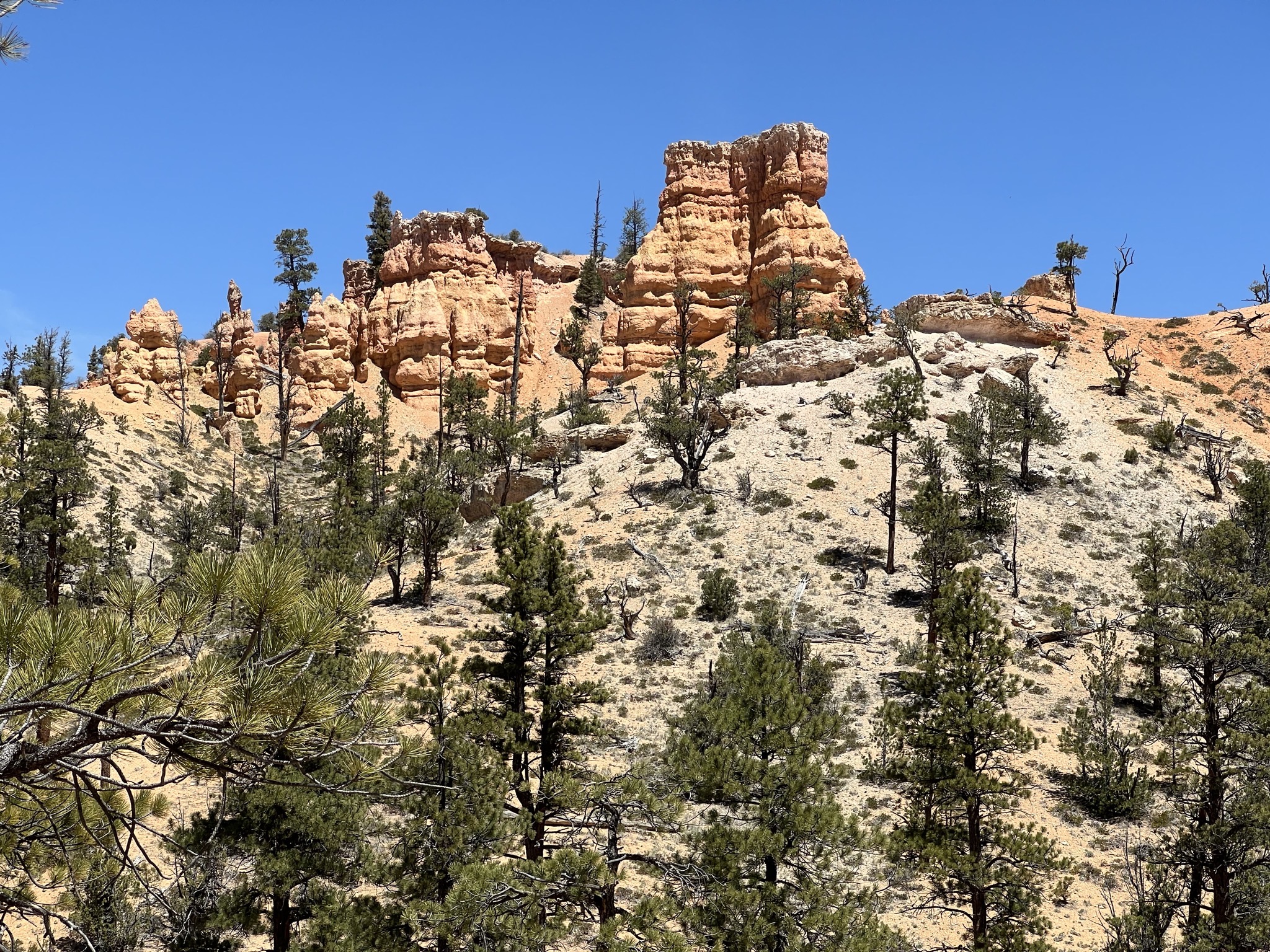Rocks
