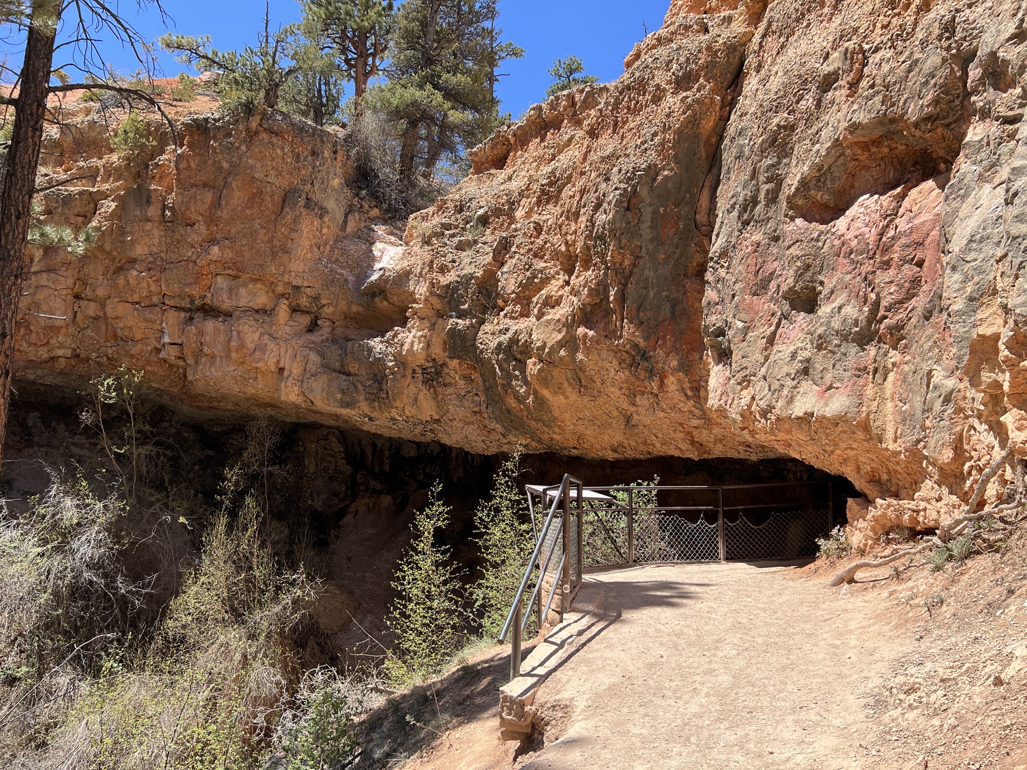 Mossy Cave