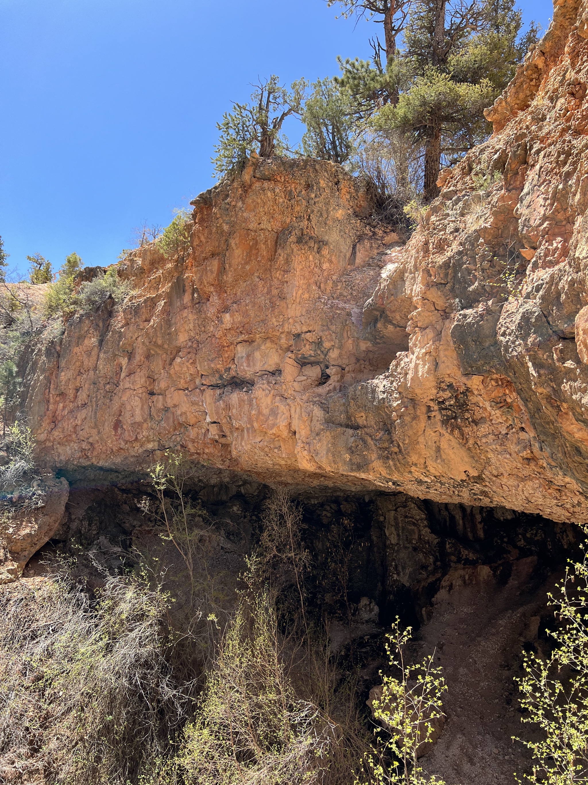 Mossy Cave