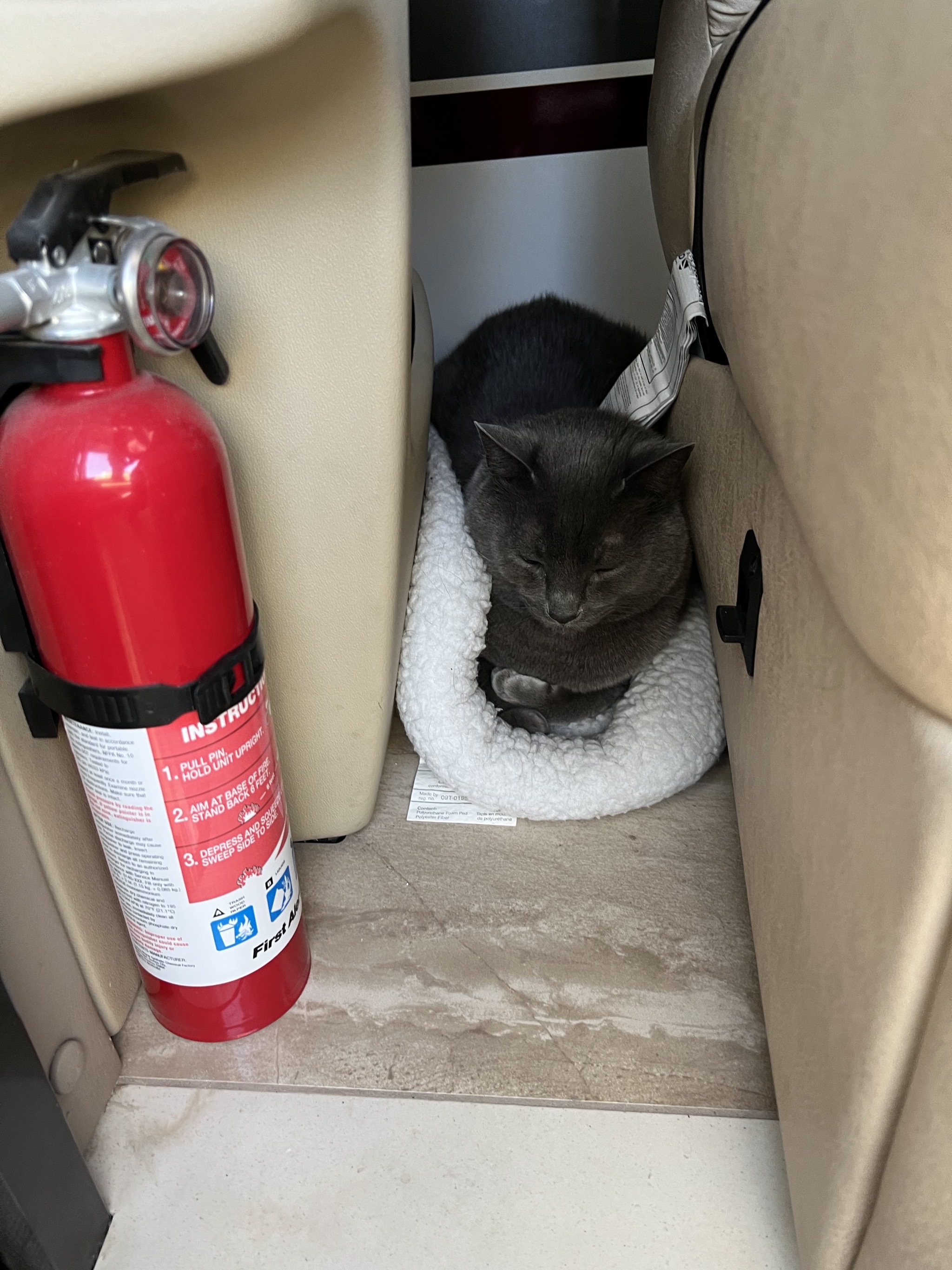 Paladin in his safe space