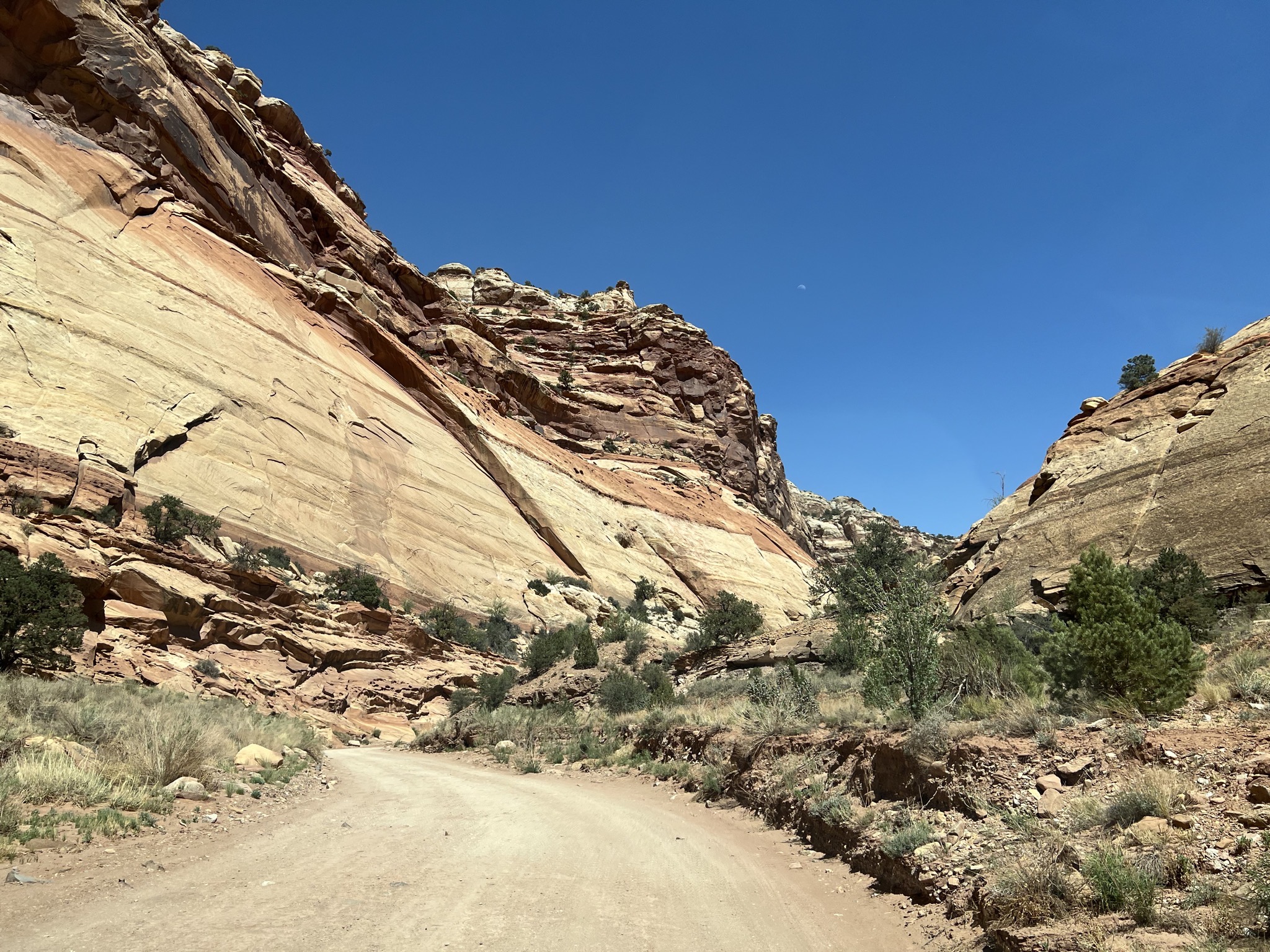 Rocks