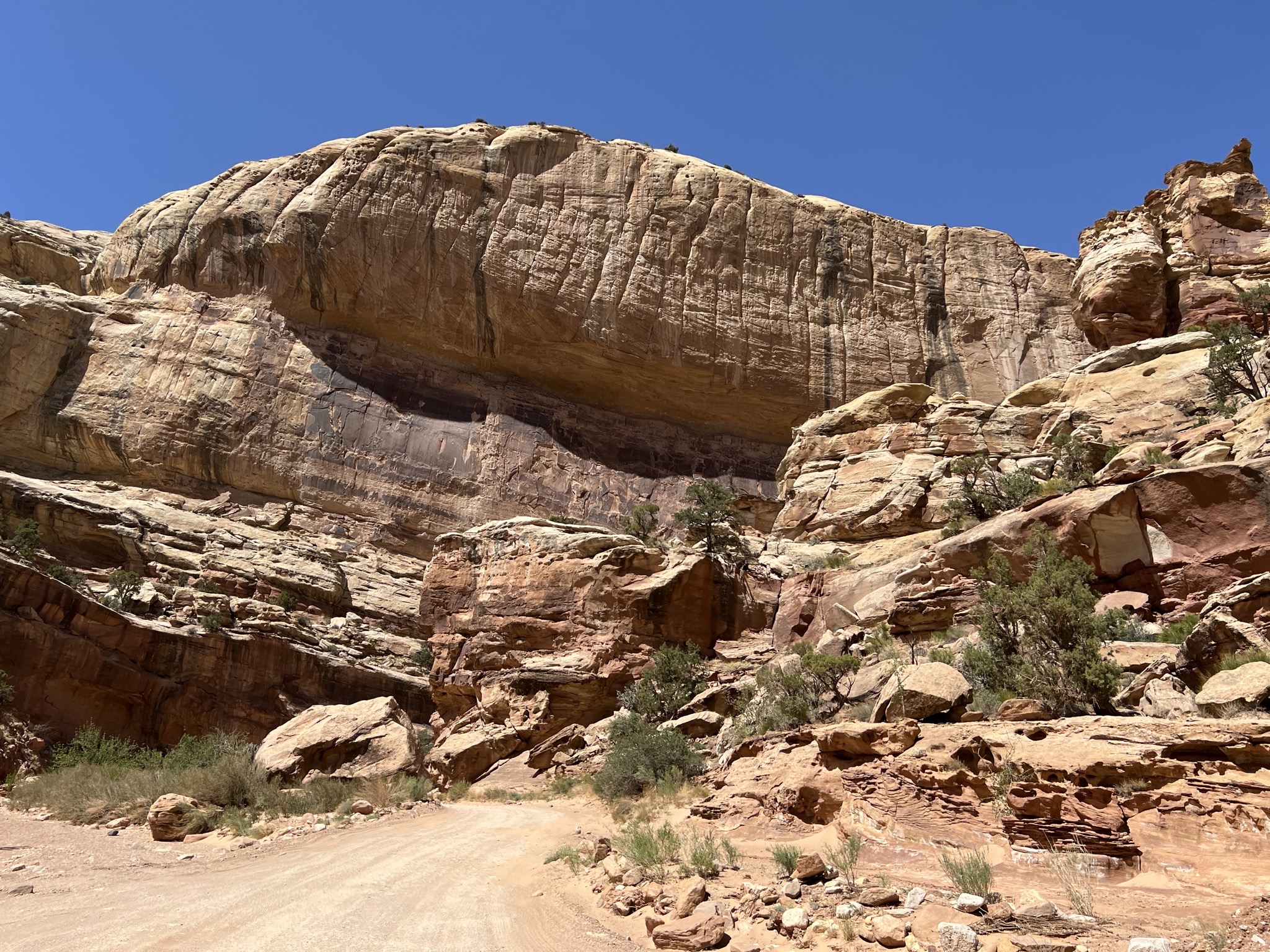 Rocks