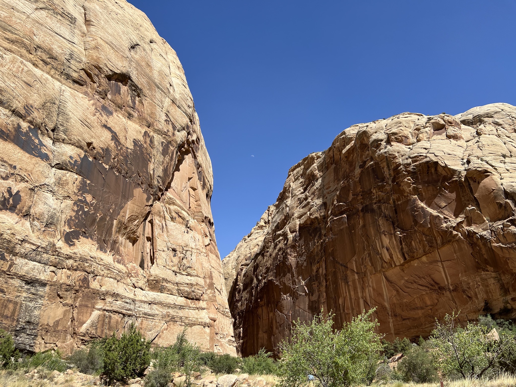 Rocks