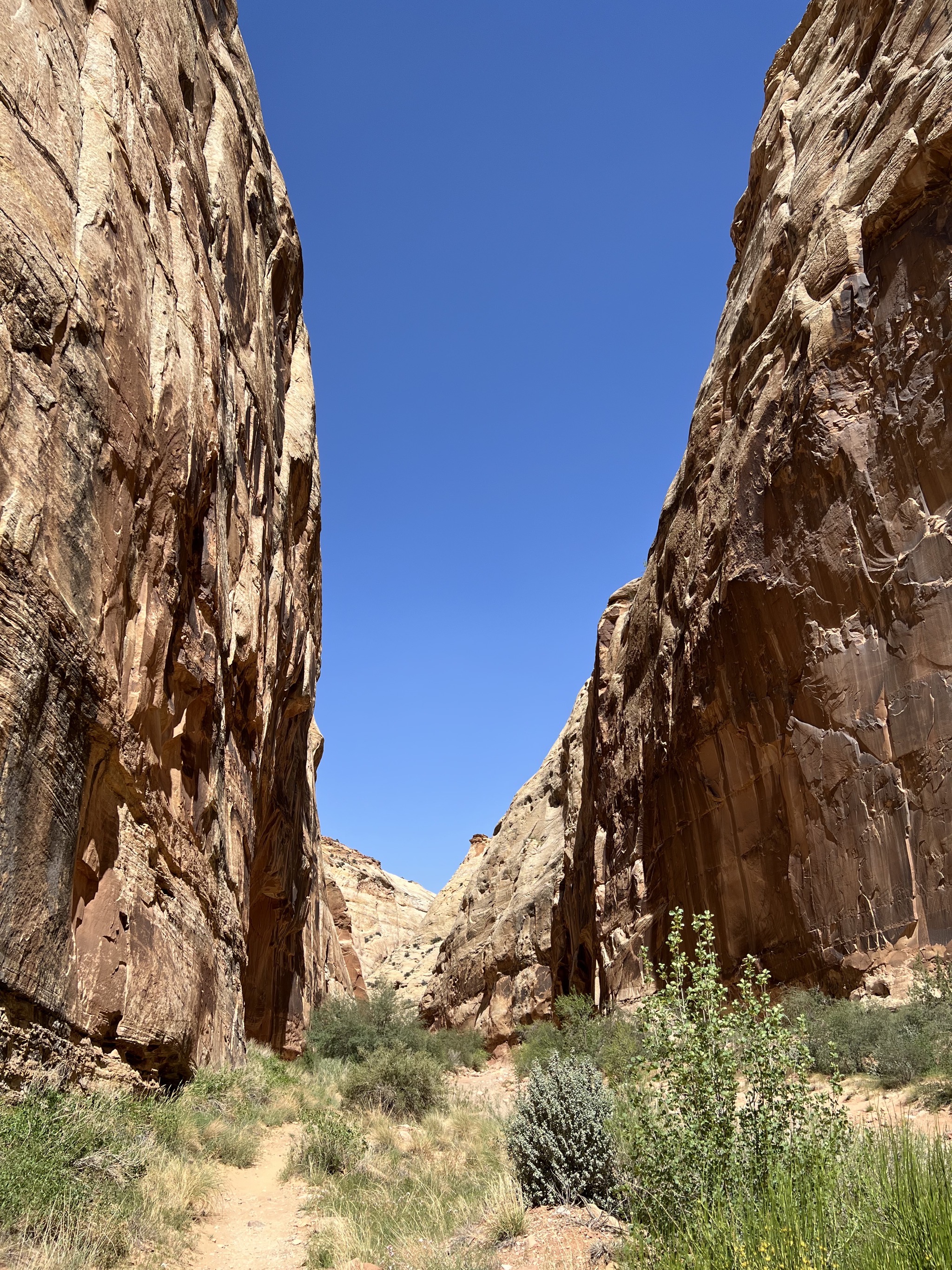 Rocks