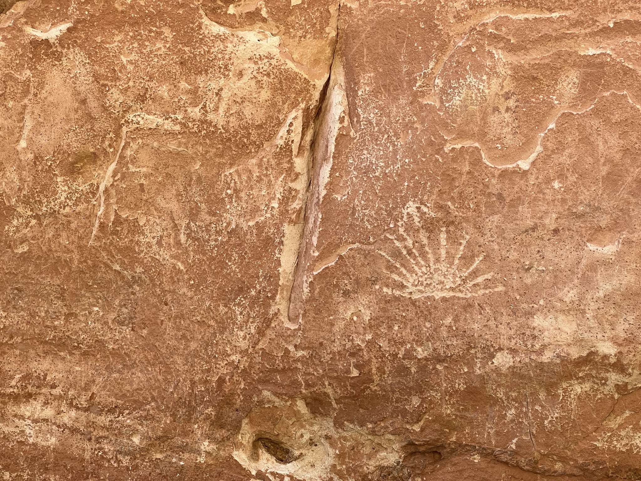 Petroglyphs