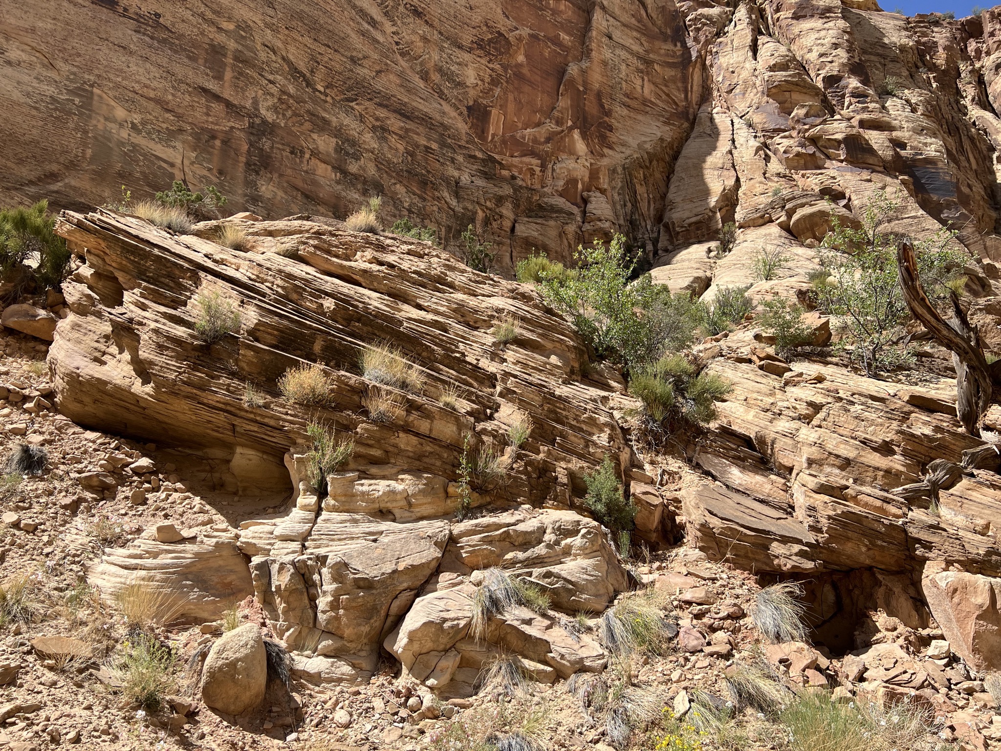 Rocks