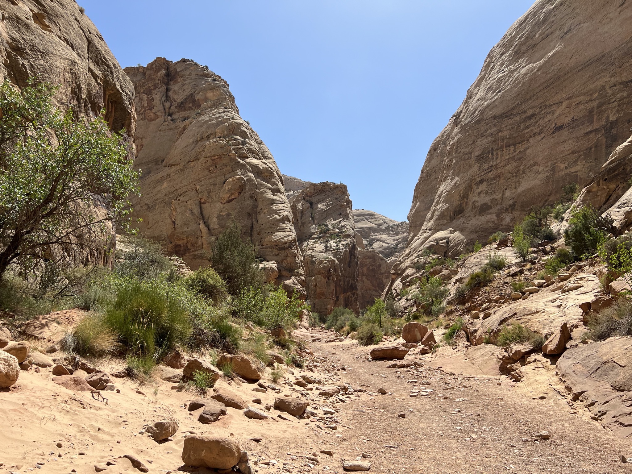 Rocks