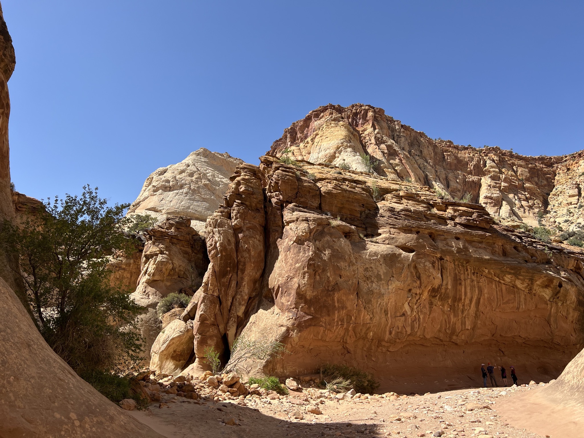 Rocks