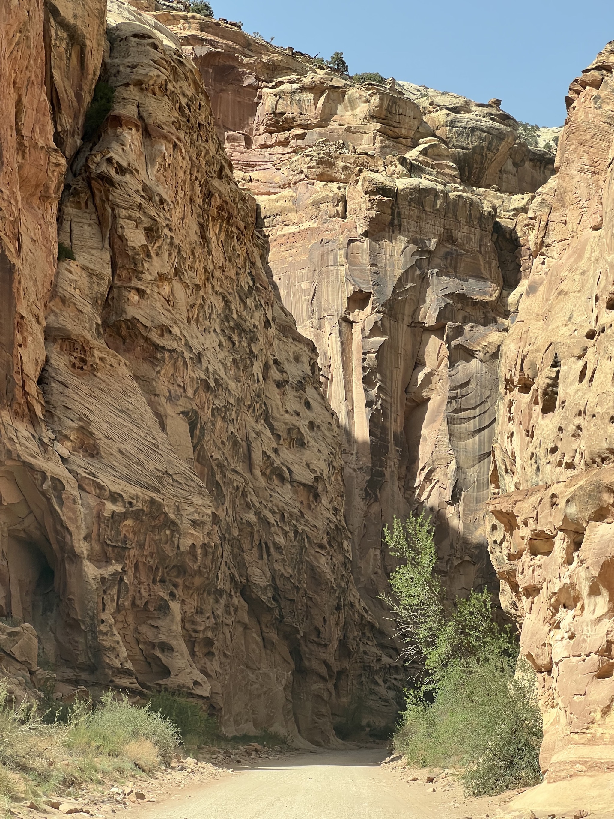 Rocks