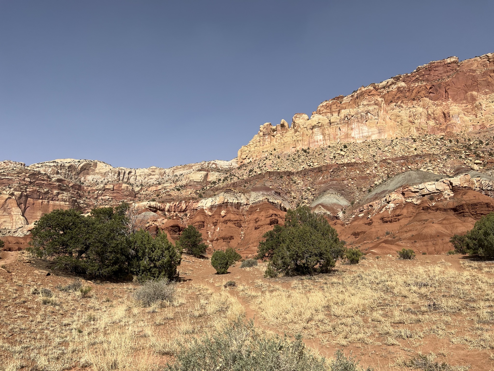 Rocks