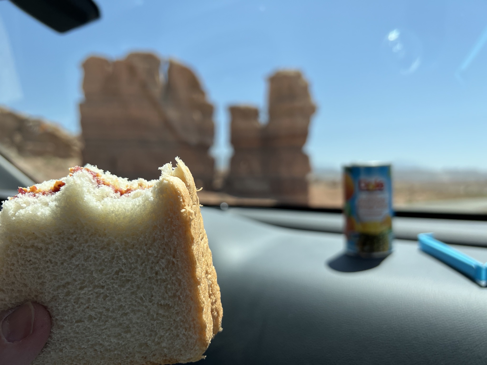 Picnic lunch