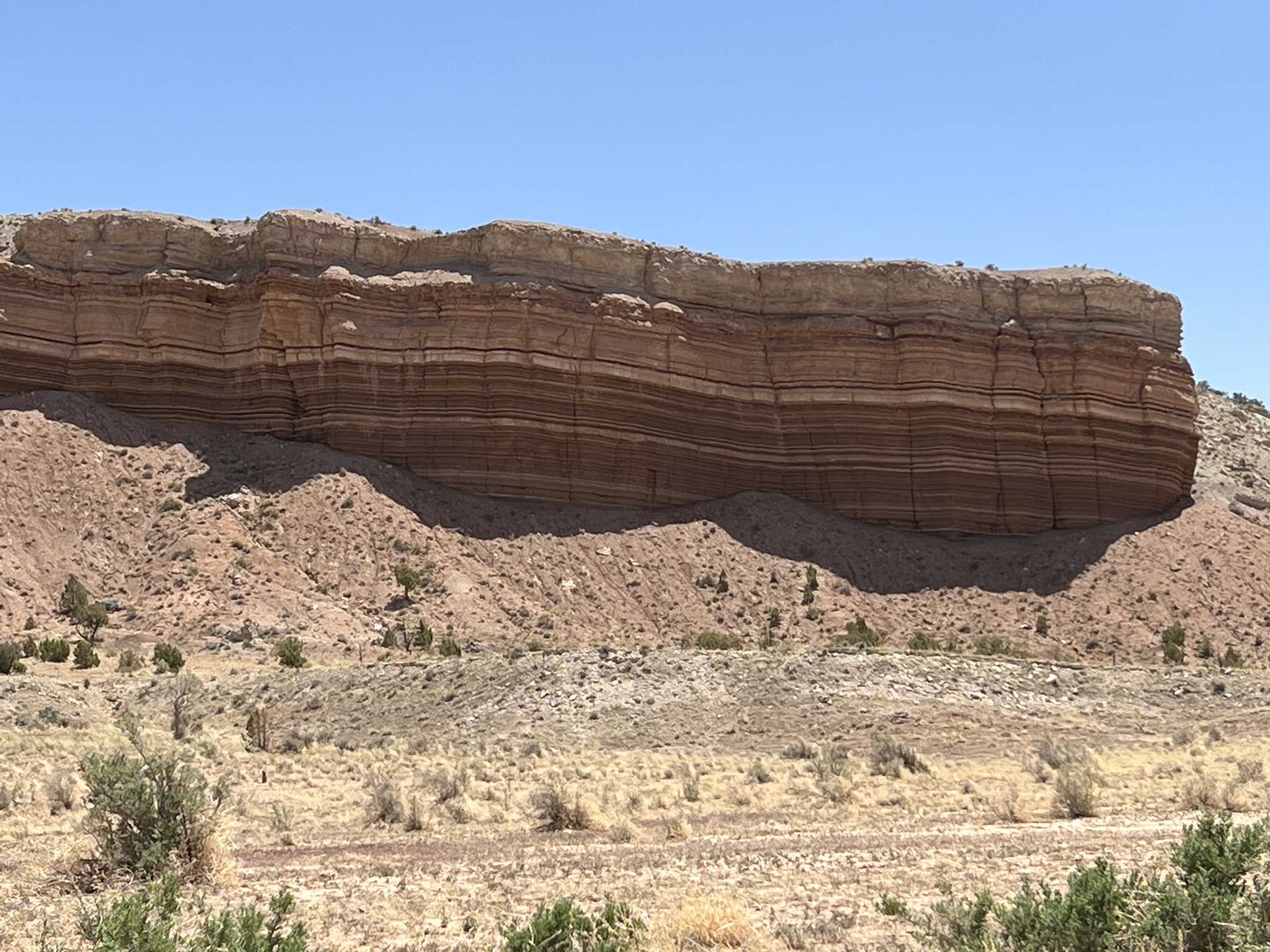 The Summerville Formation (15)