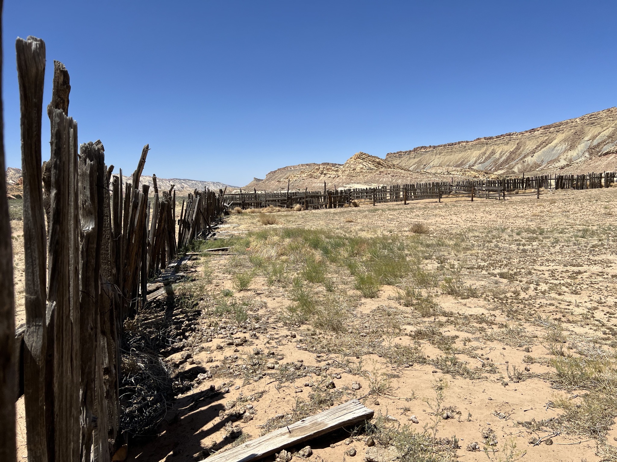 Horse corral