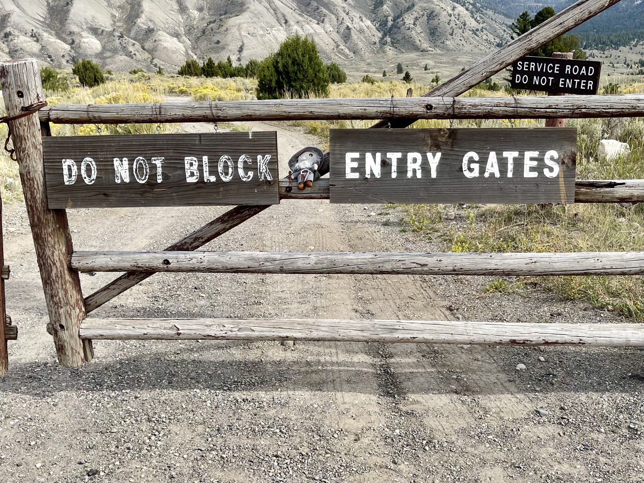 Yellowstone