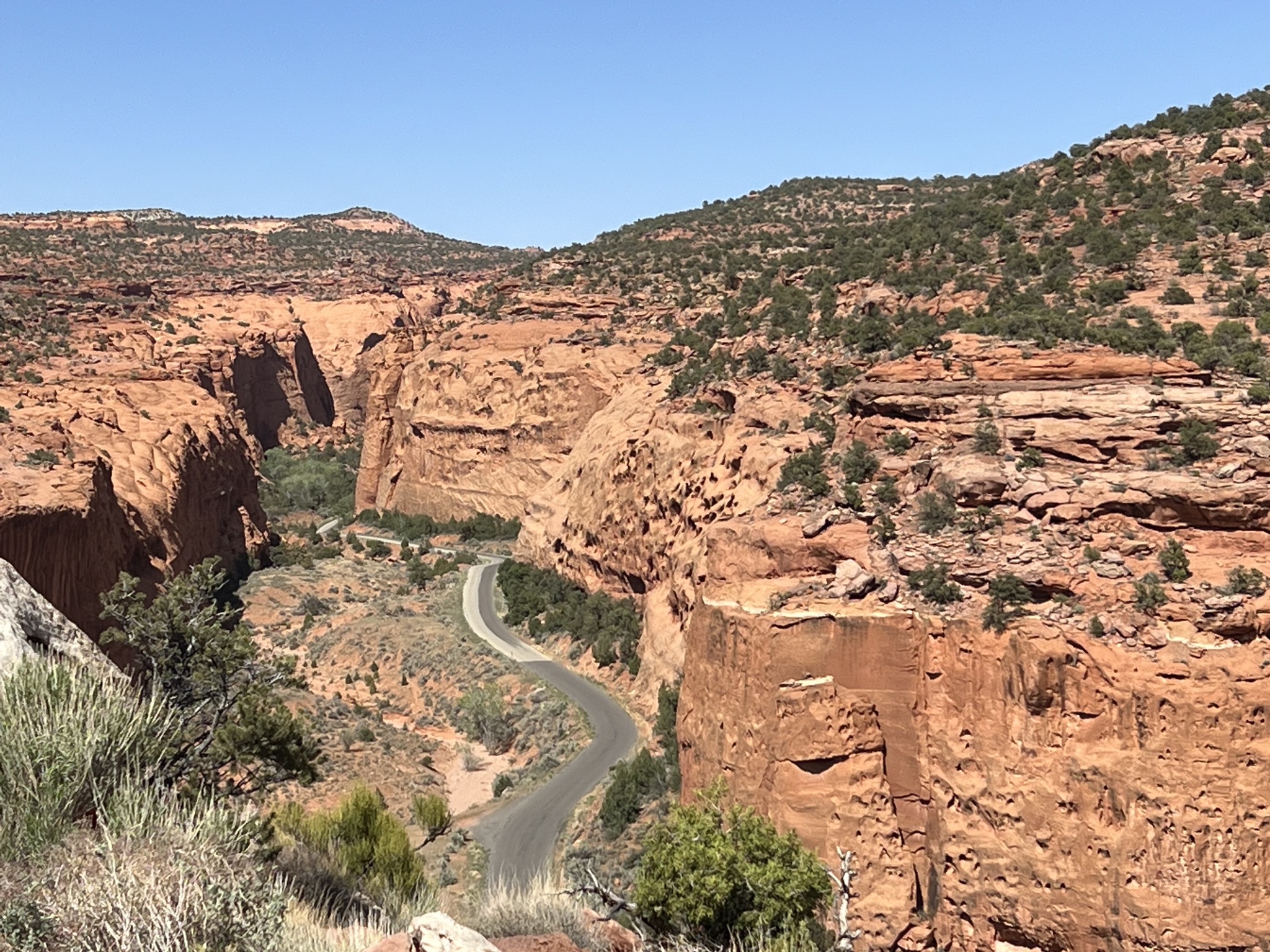 Long Canyon viewpoint (28)