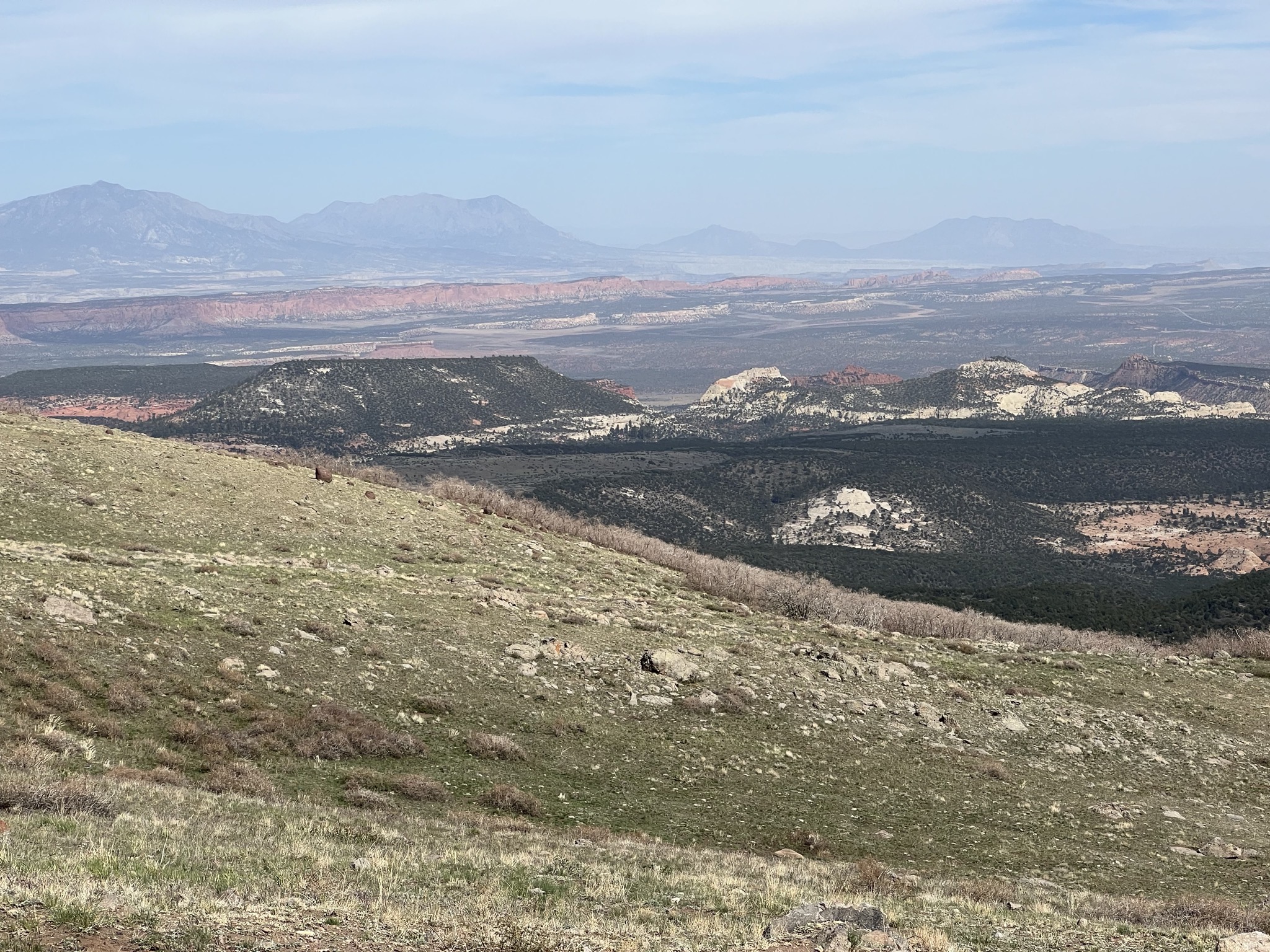 Homestead Overlook