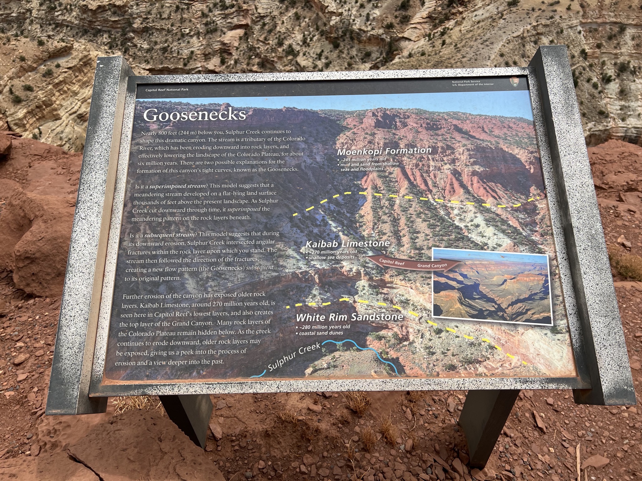 Goosenecks Point