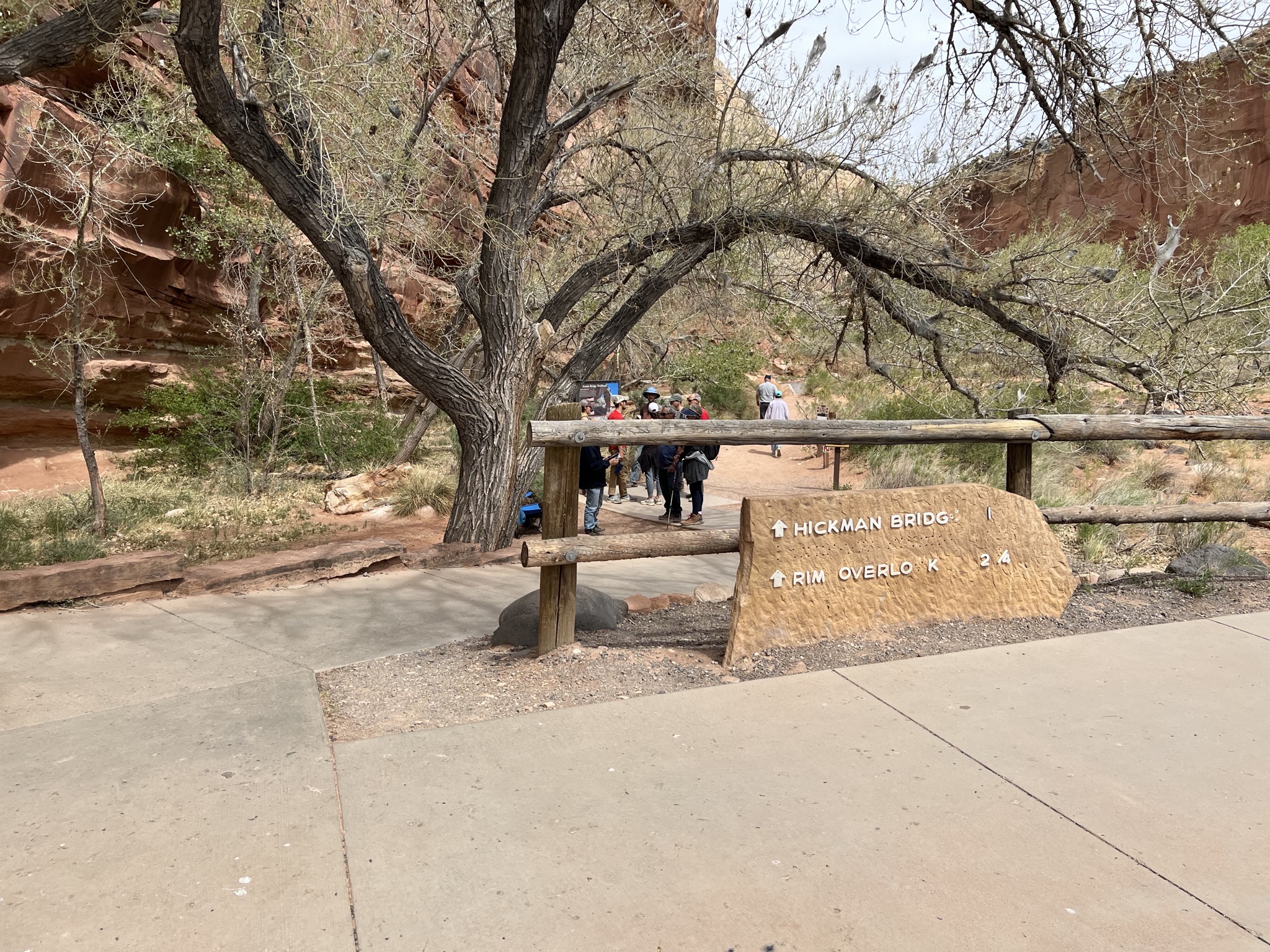 Hickman Bridge trail
