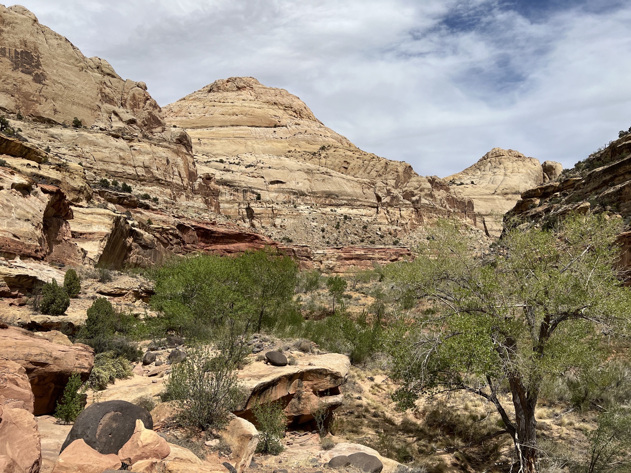 Hickman Bridge trail
