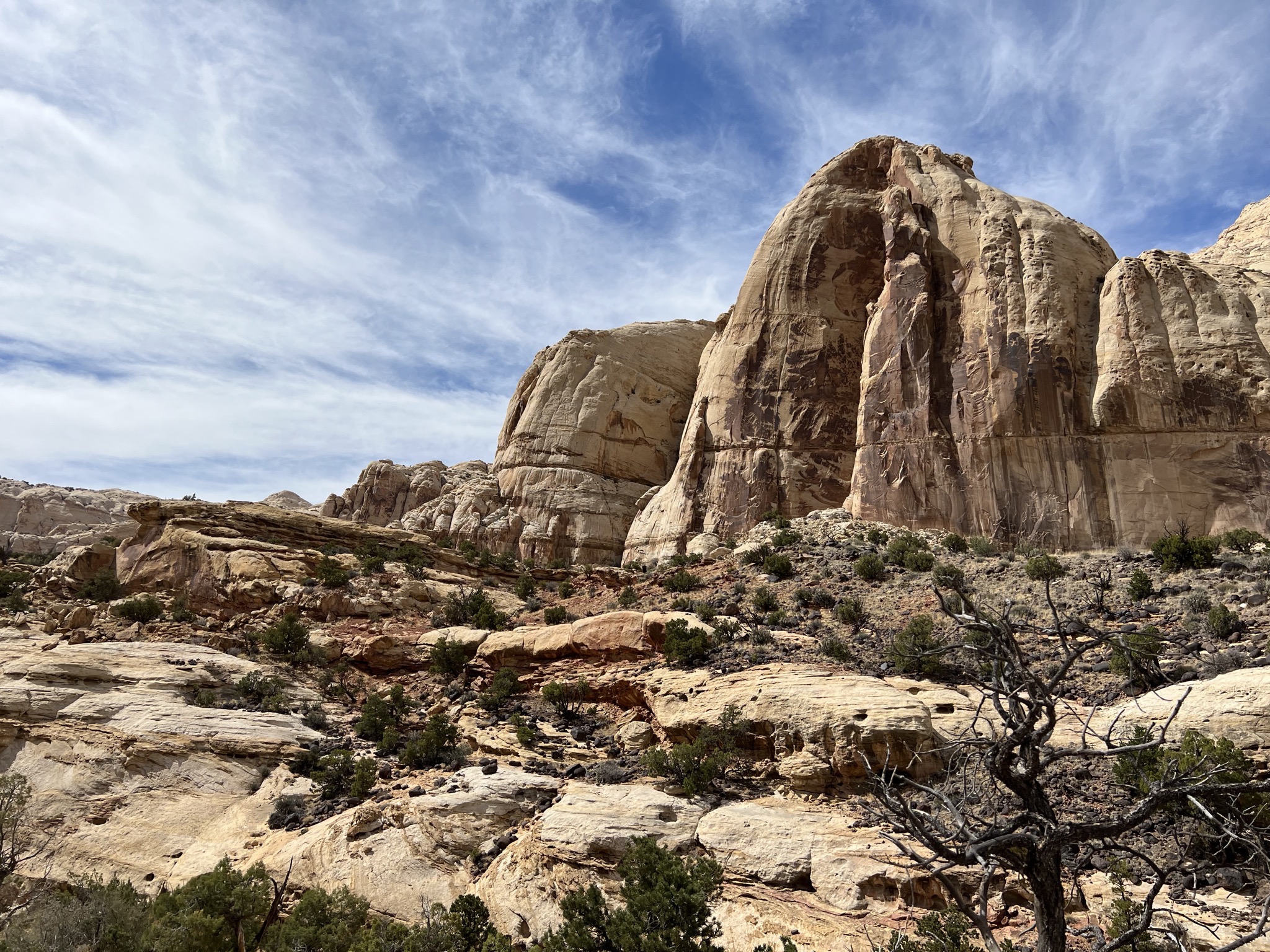Hickman Bridge trail
