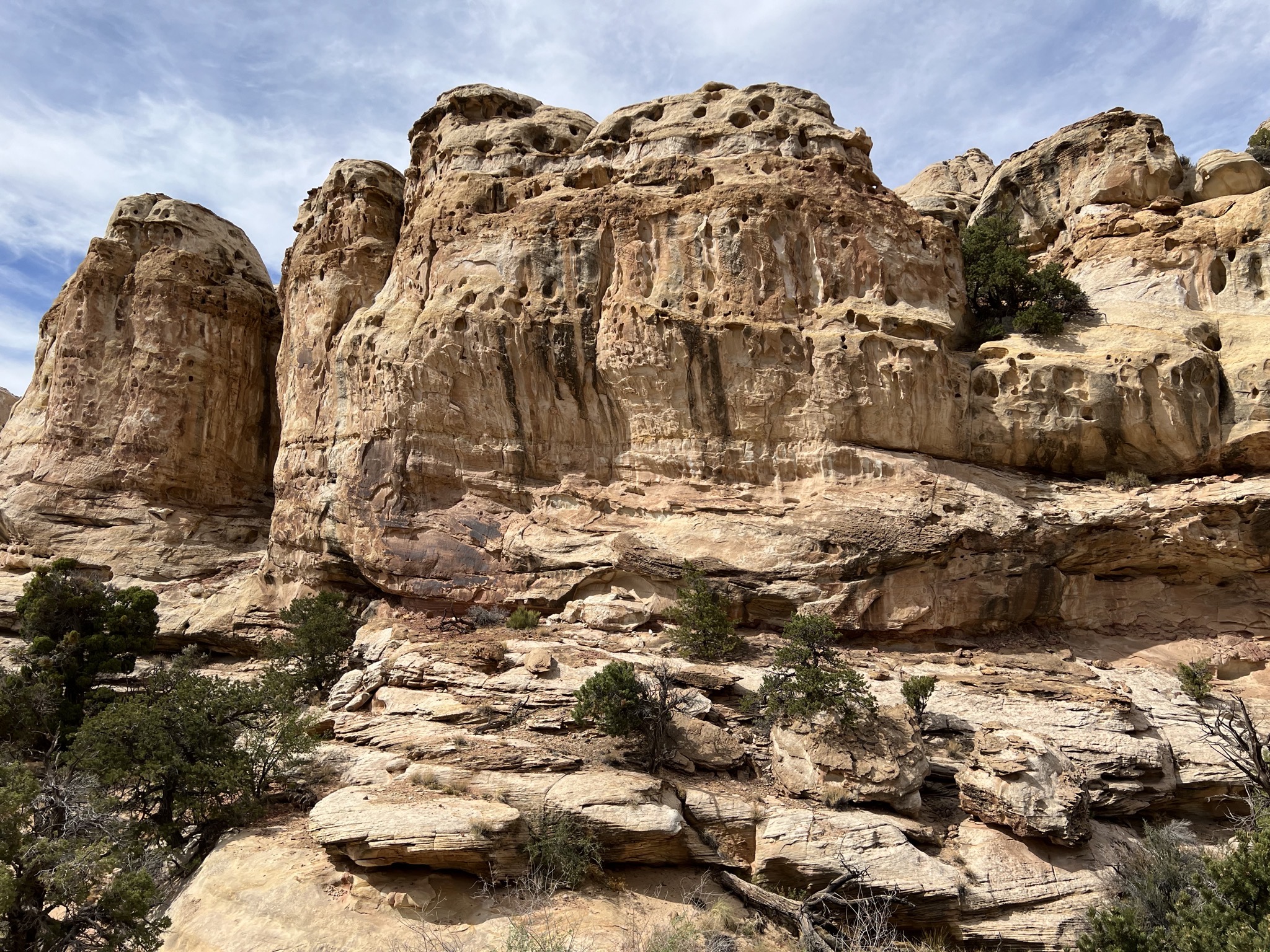 Hickman Bridge trail