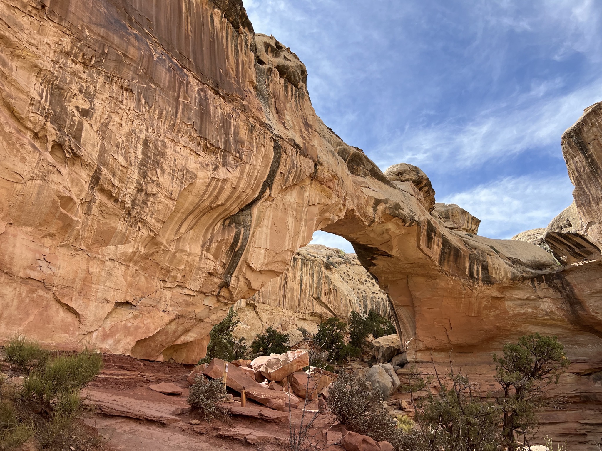 Hickman Bridge trail