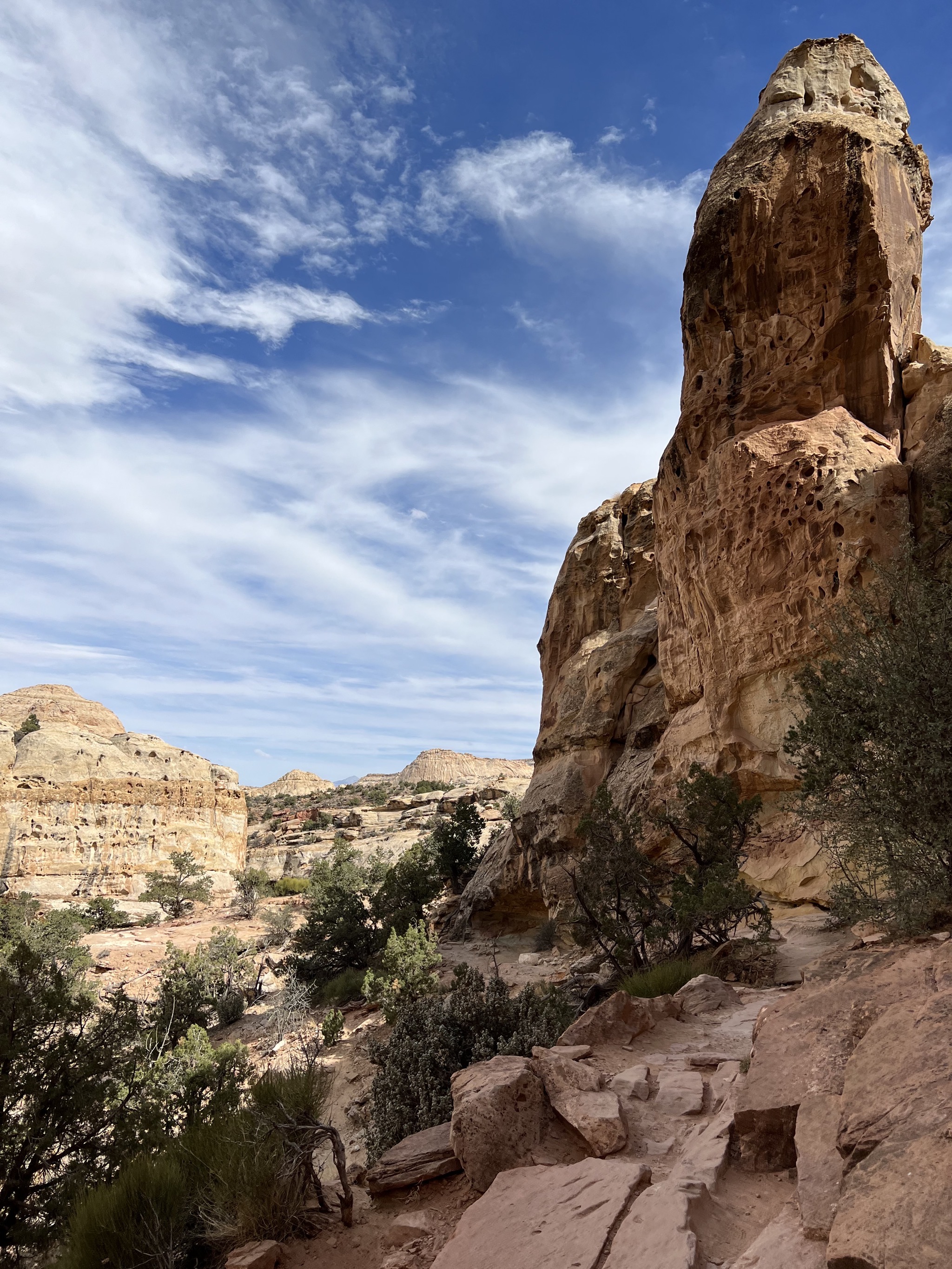 Hickman Bridge trail