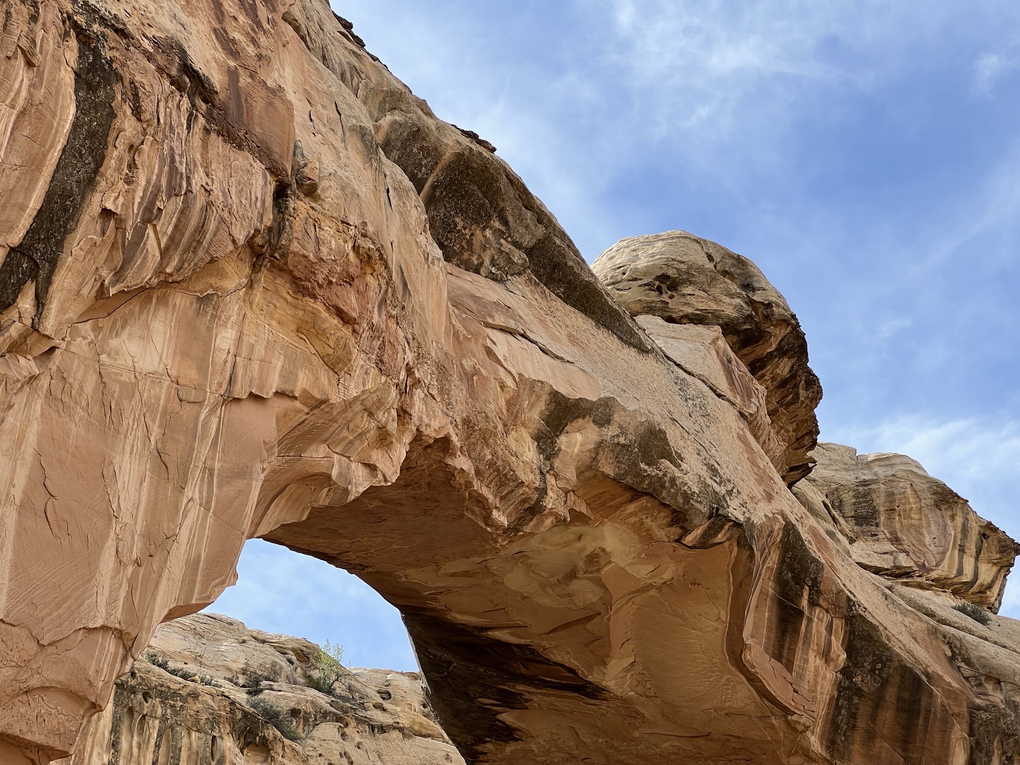 Hickman Bridge trail